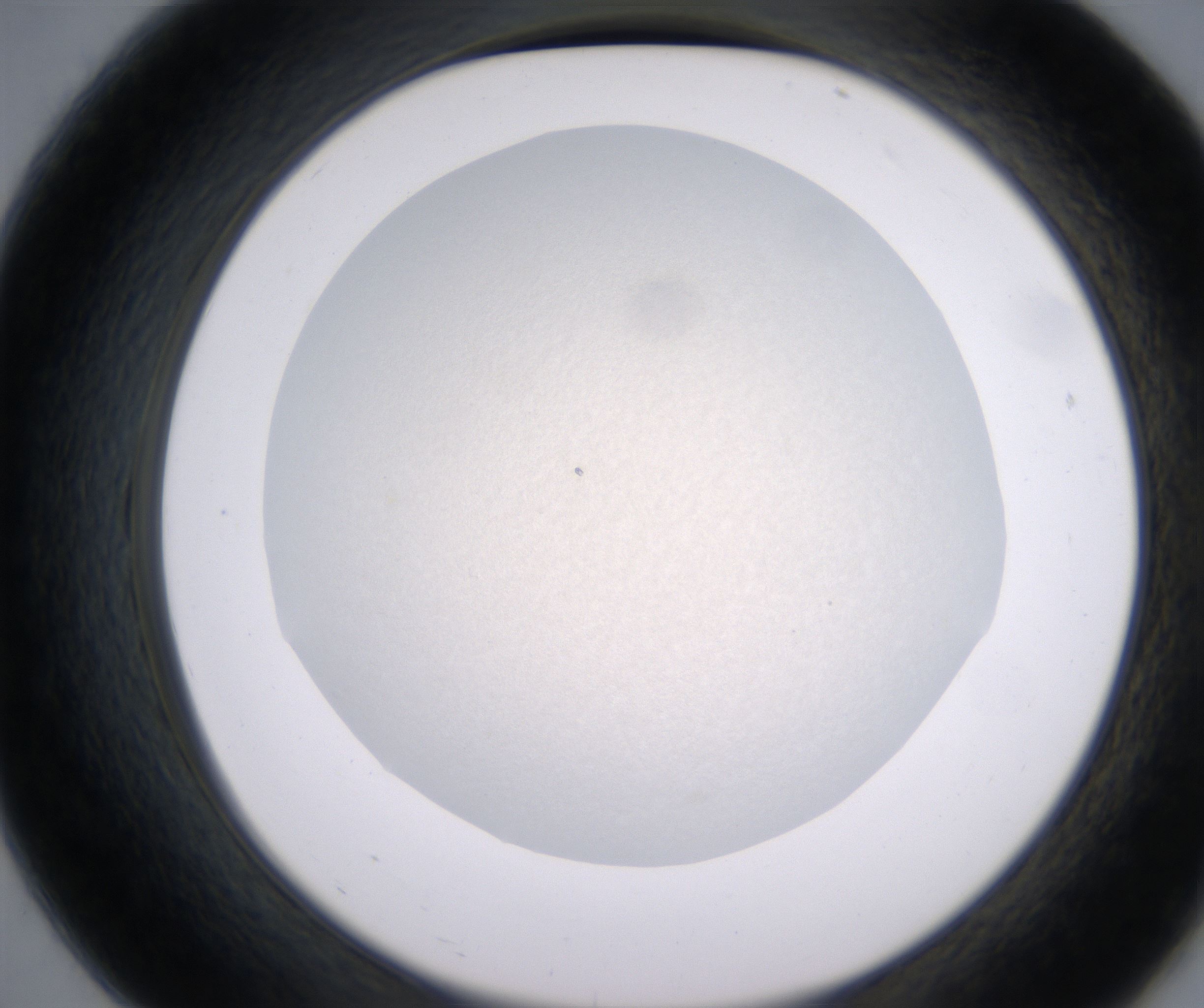 B7_HighResolution_Precipitate_2.jpg