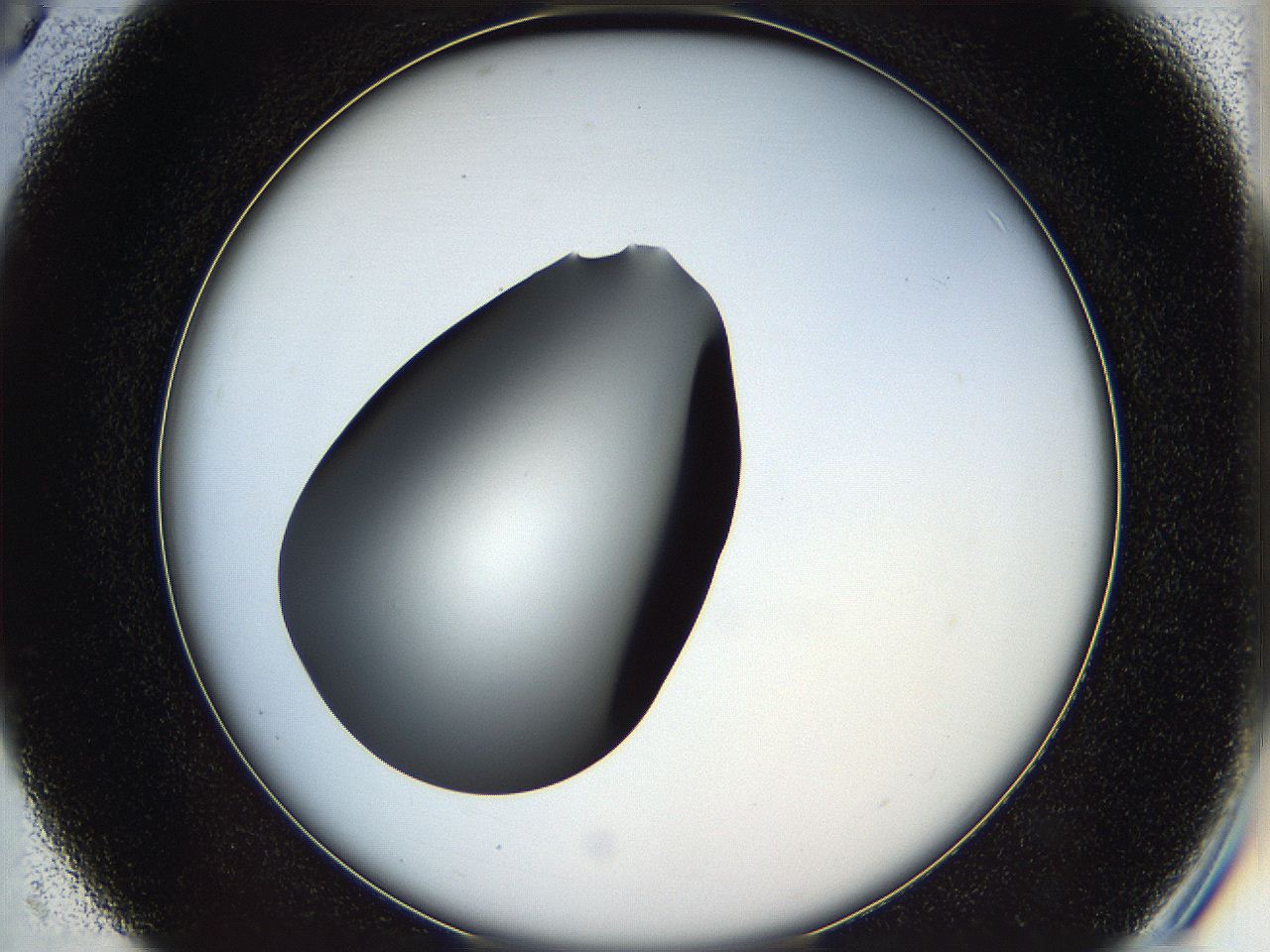 05k2_C5_ImagerDefaults_0.jpg