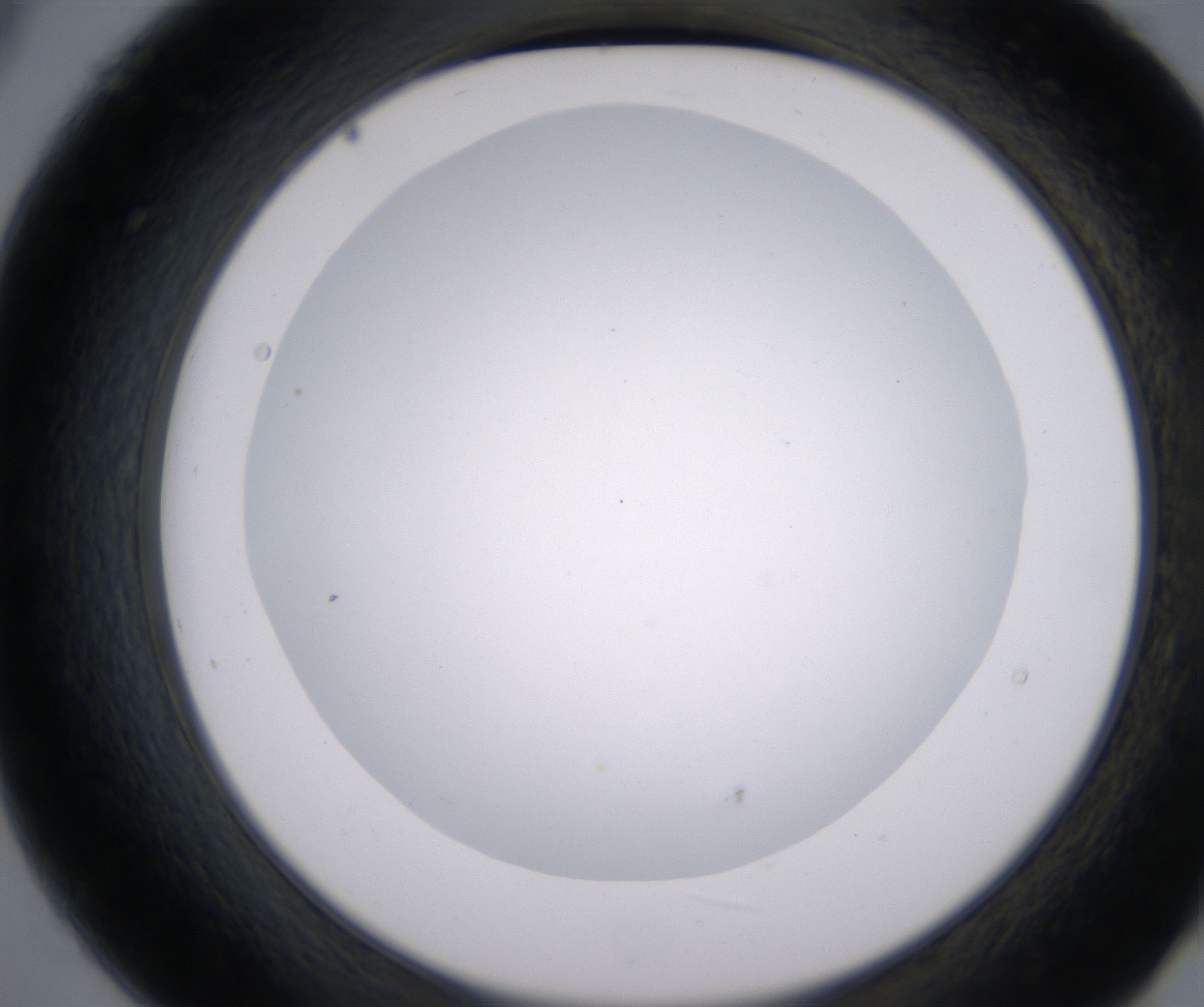 B9_HighResolution_Clear_2.jpg