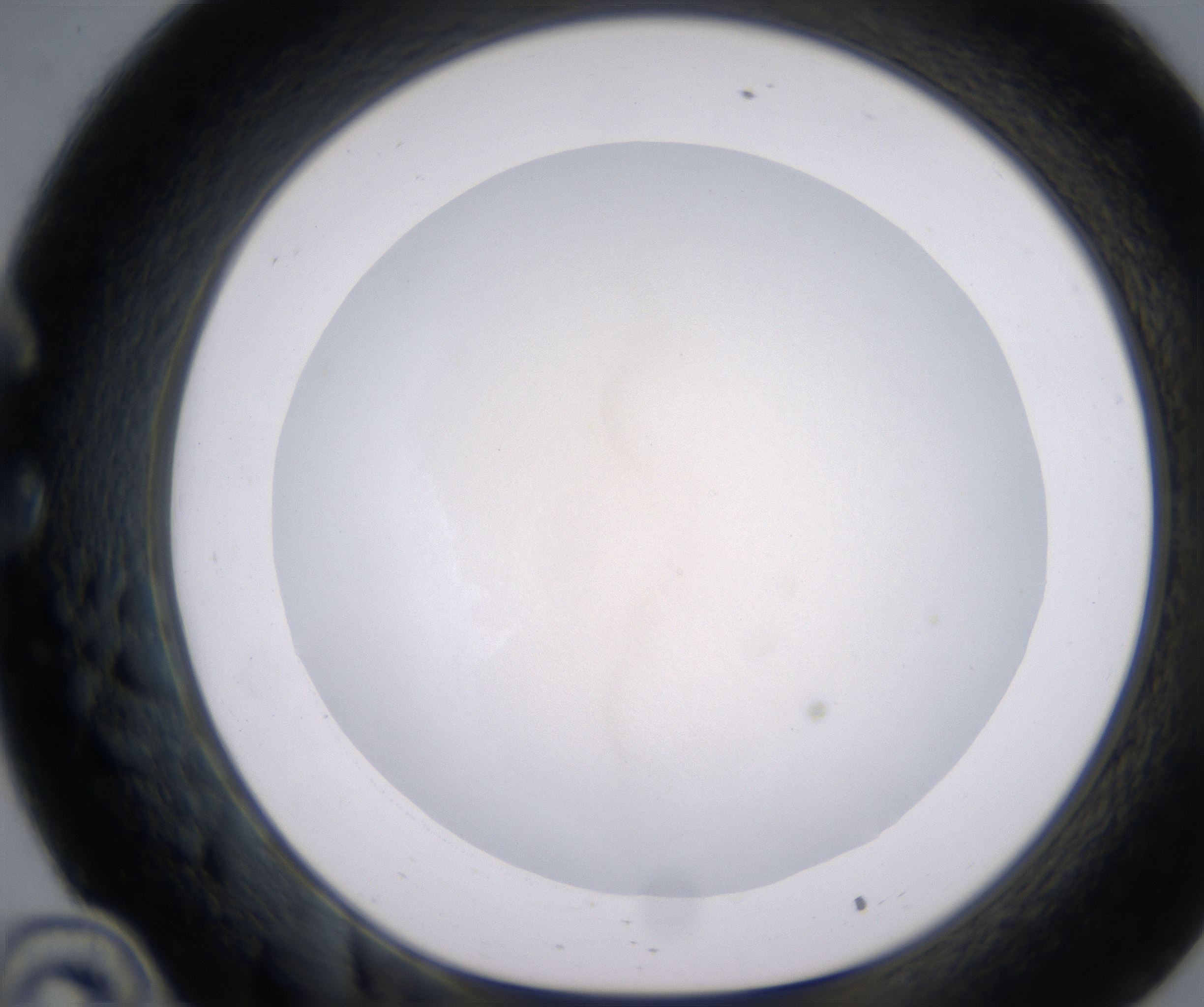 C10_HighResolution_Clear_1.jpg