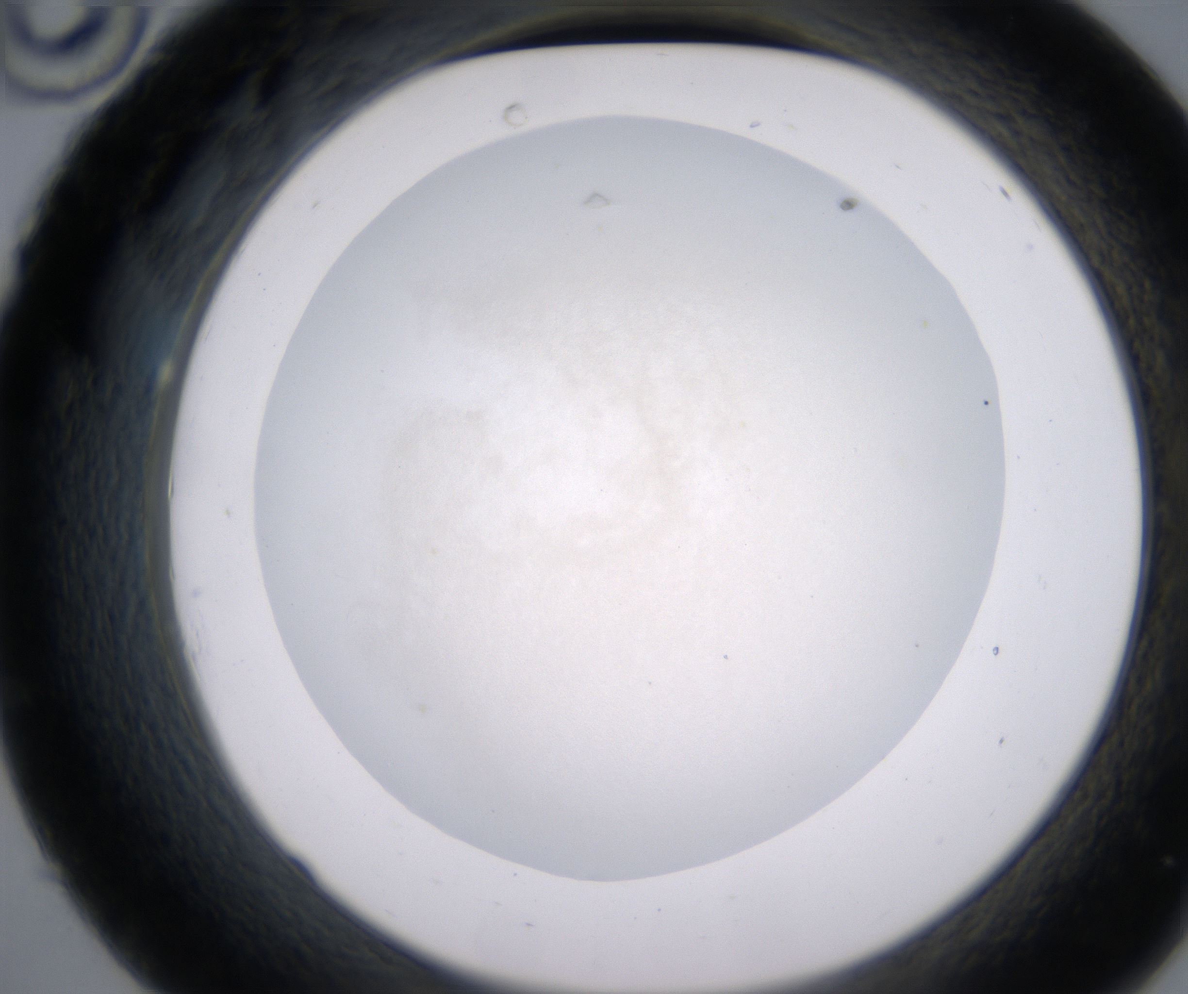 C10_HighResolution_Precipitate_2.jpg