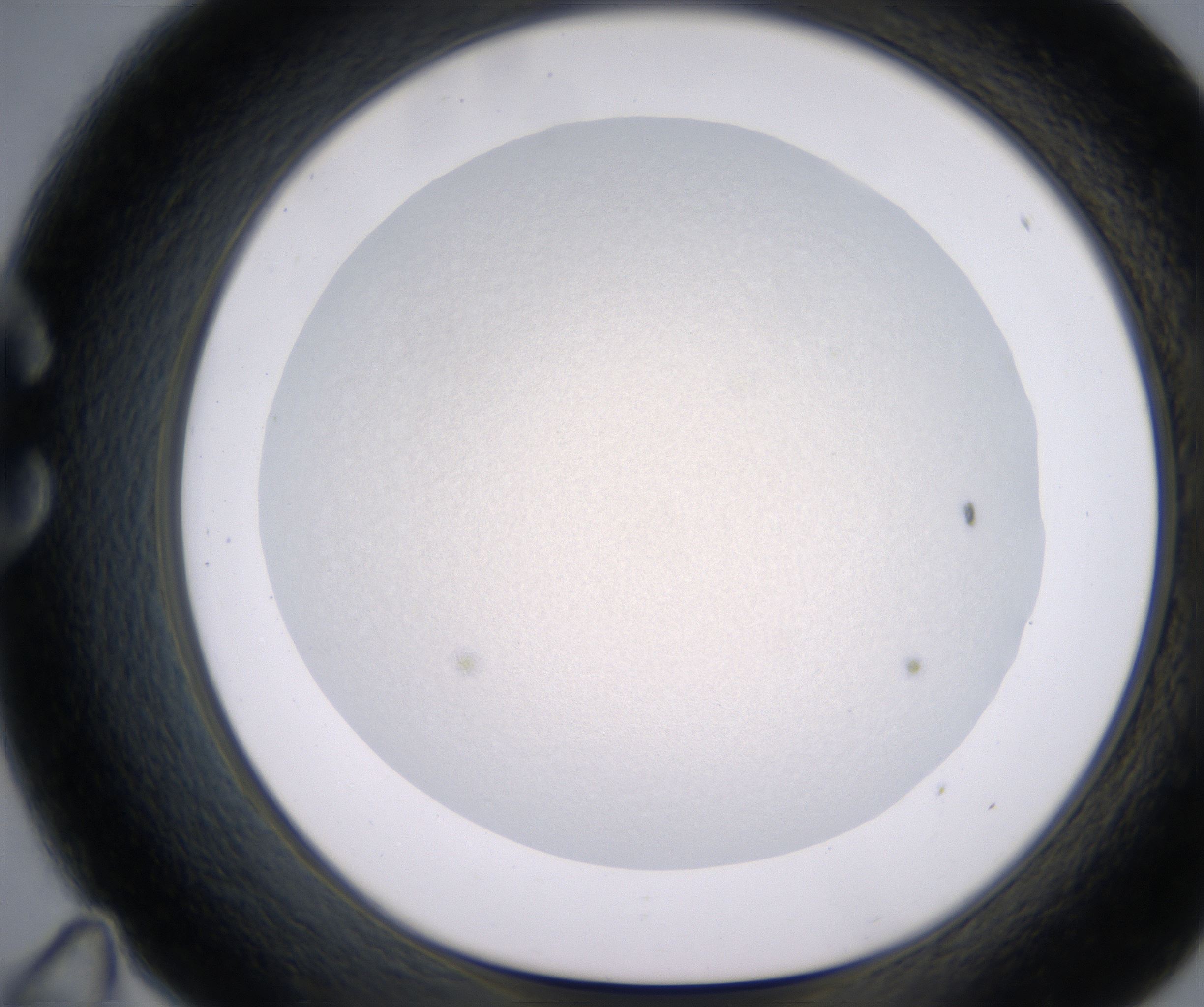 C11_HighResolution_Precipitate_1.jpg