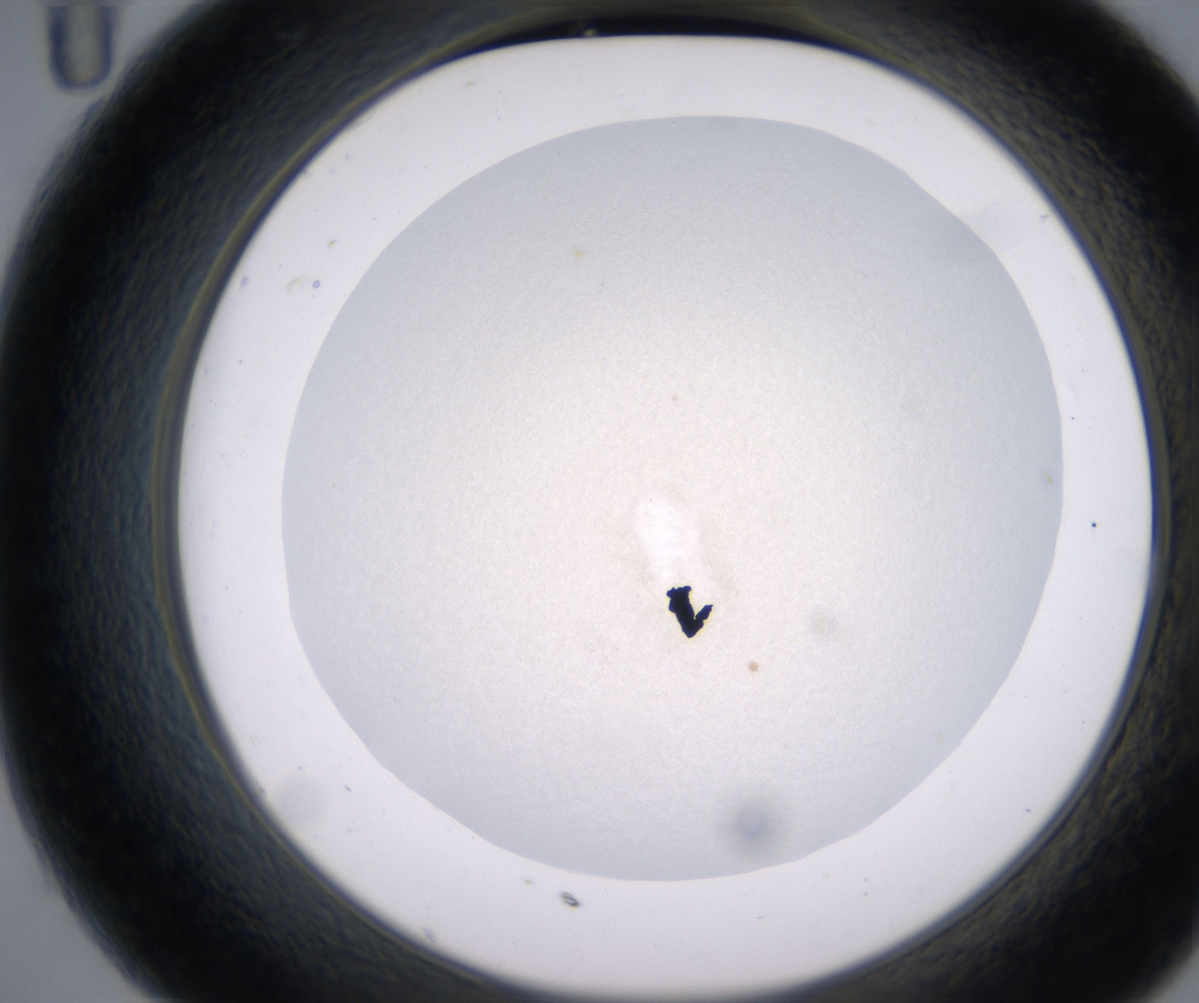 C11_HighResolution_Precipitate_2.jpg