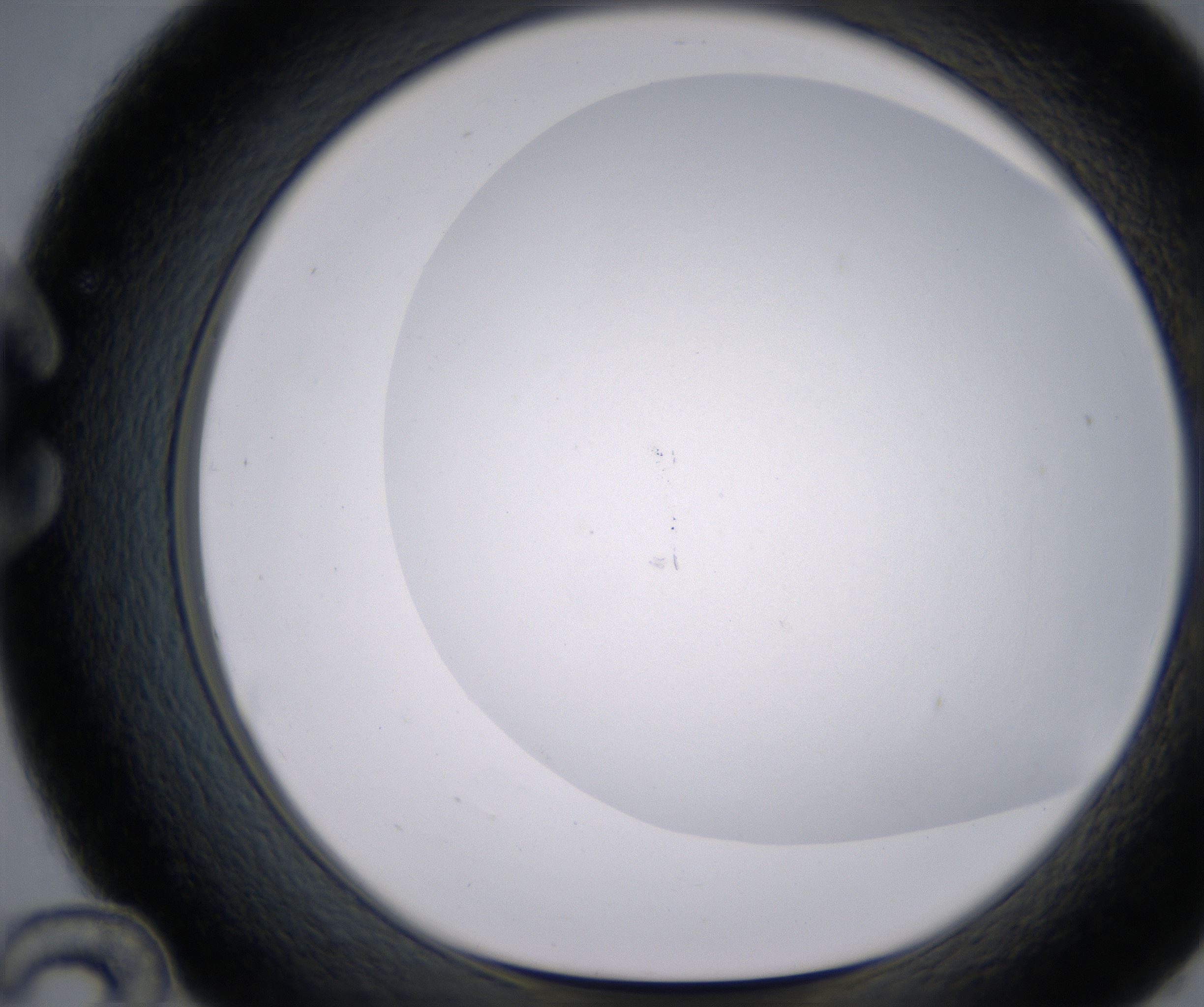 C12_HighResolution_Clear_1.jpg