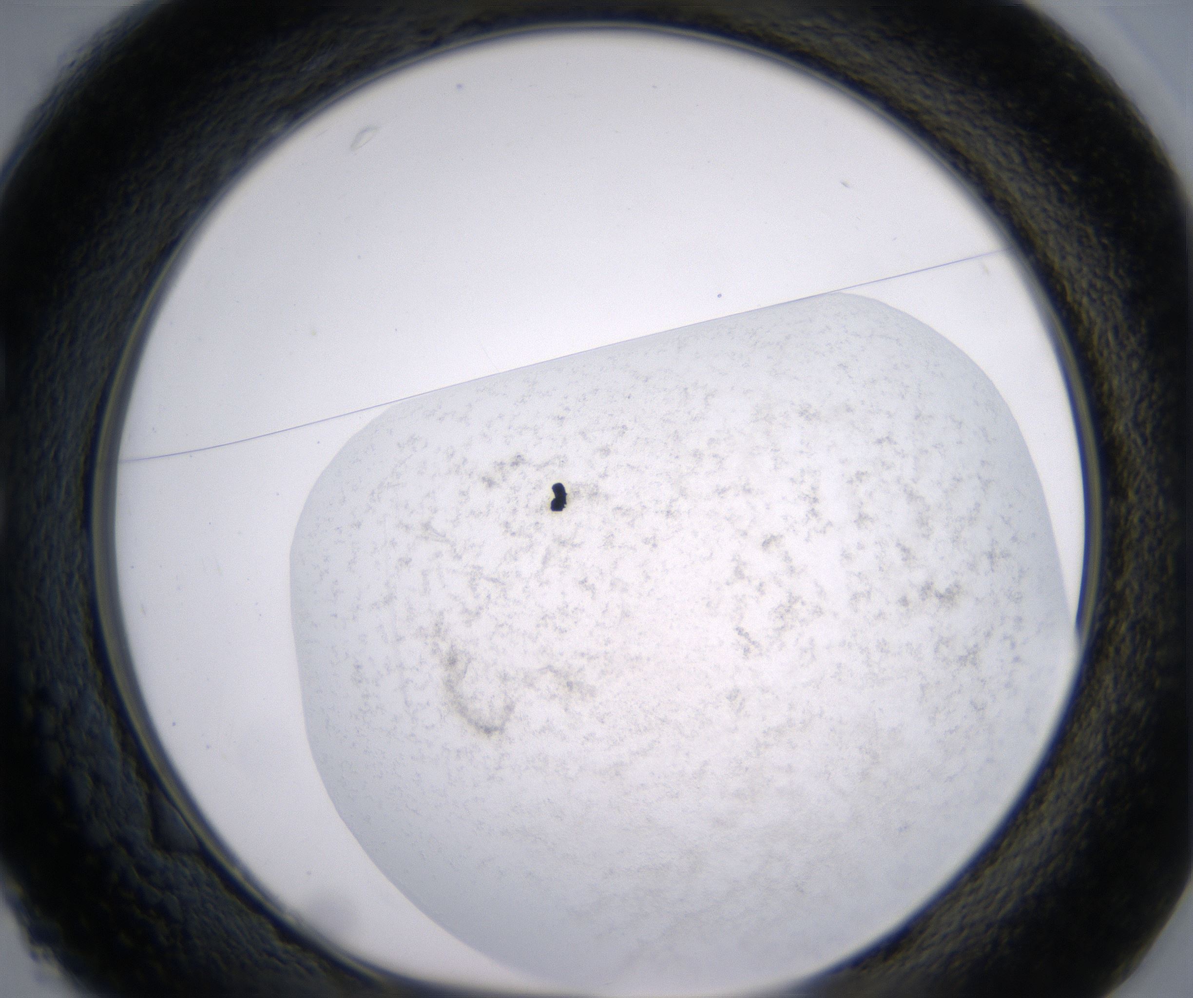 C1_HighResolution_Precipitate_1.jpg