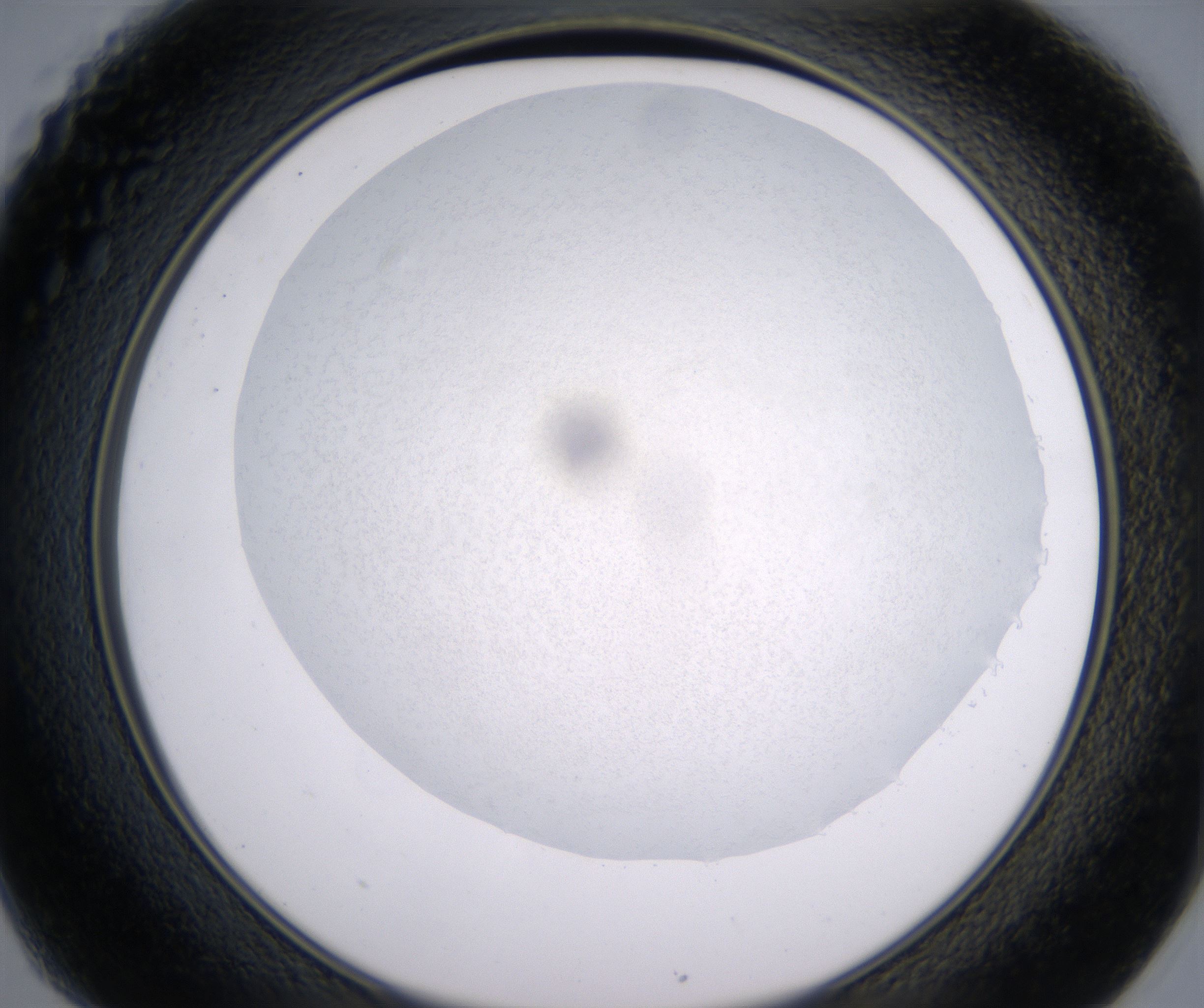 C1_HighResolution_Precipitate_2.jpg