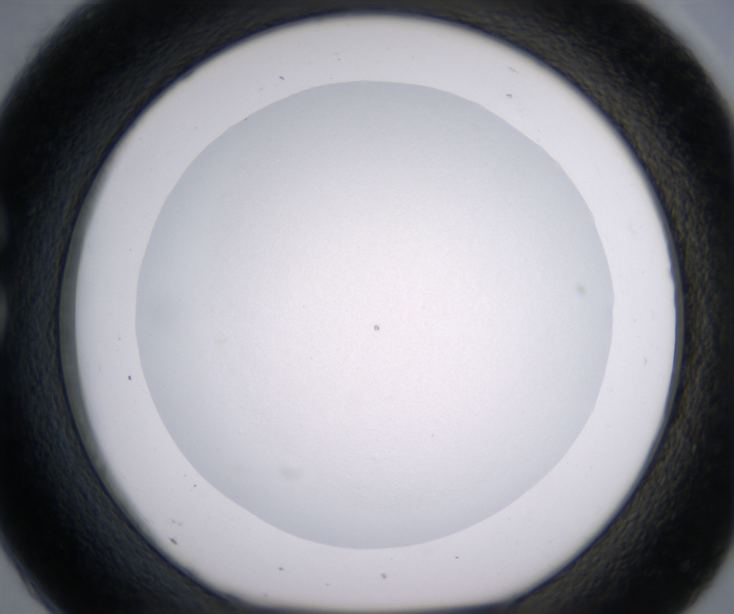 C2_HighResolution_Clear_1.jpg