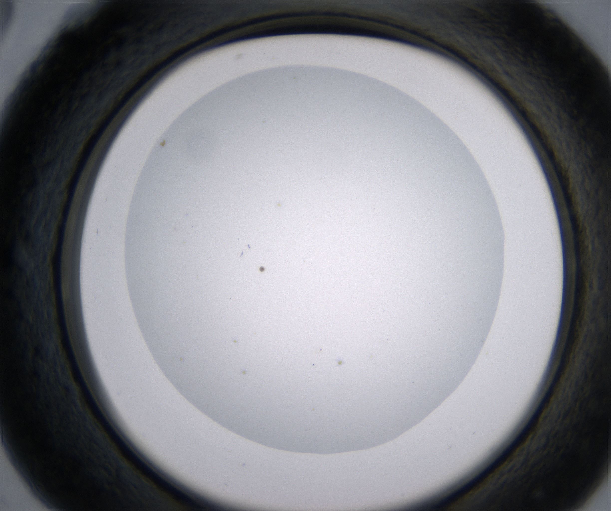C5_HighResolution_Clear_2.jpg