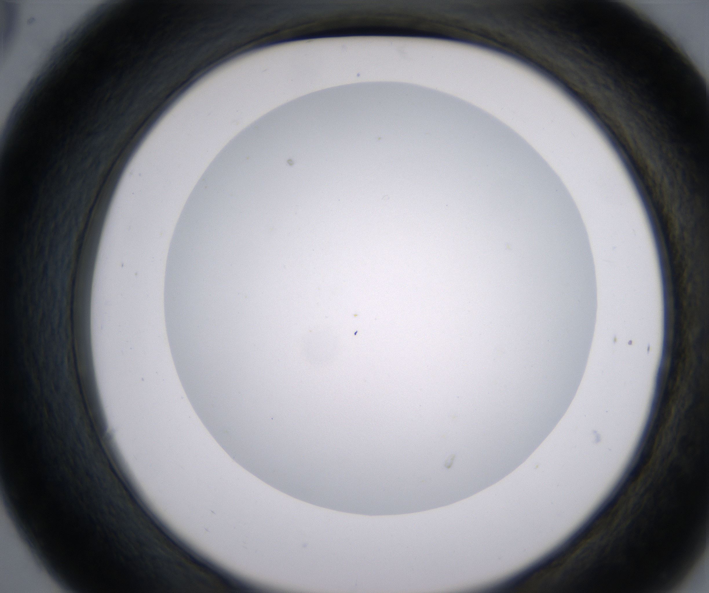 C6_HighResolution_Clear_2.jpg