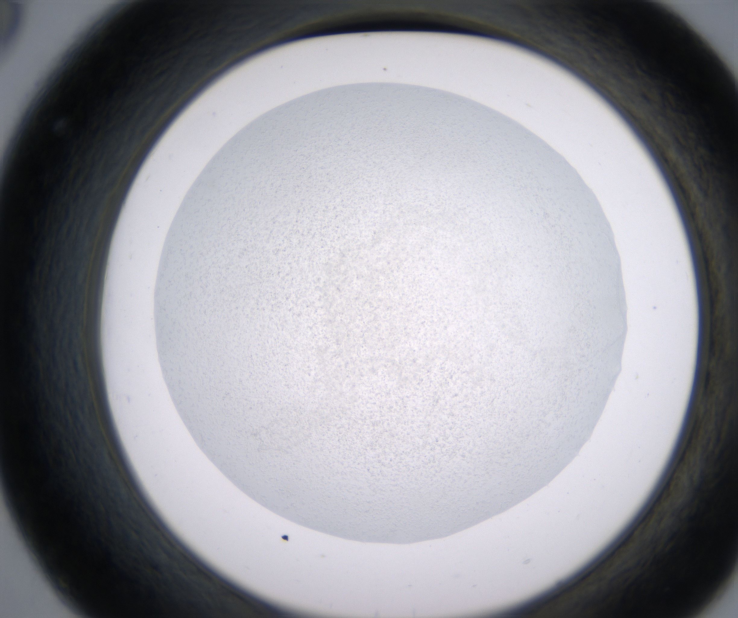 C8_HighResolution_Precipitate_2.jpg