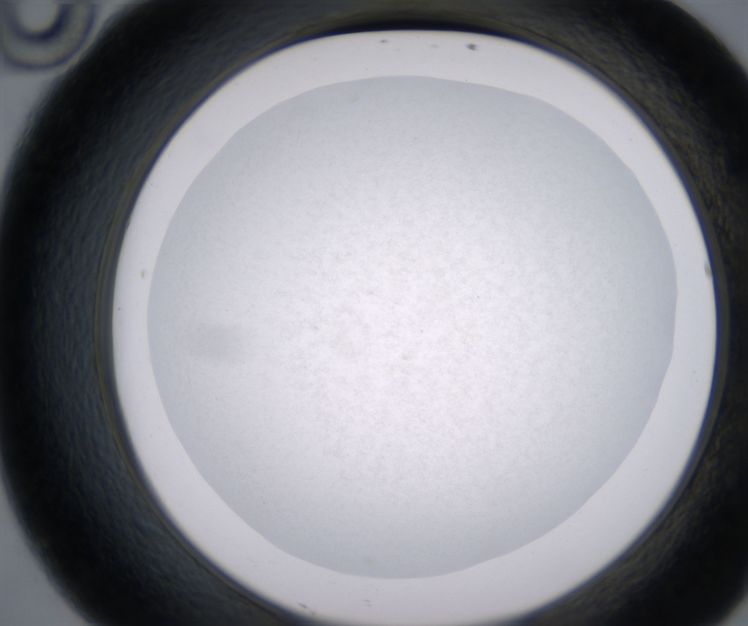 D10_HighResolution_Precipitate_2.jpg
