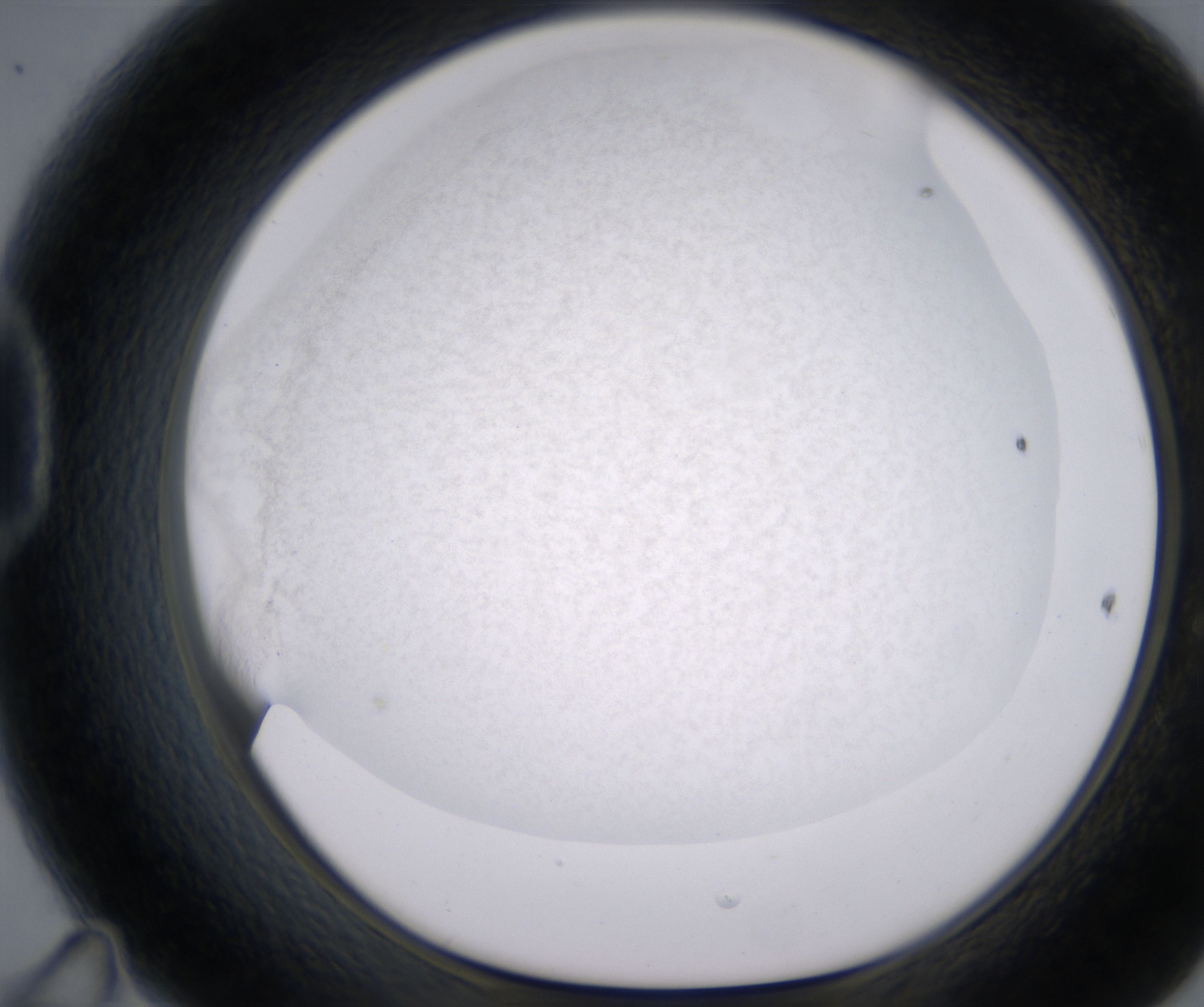 D11_HighResolution_Precipitate_1.jpg