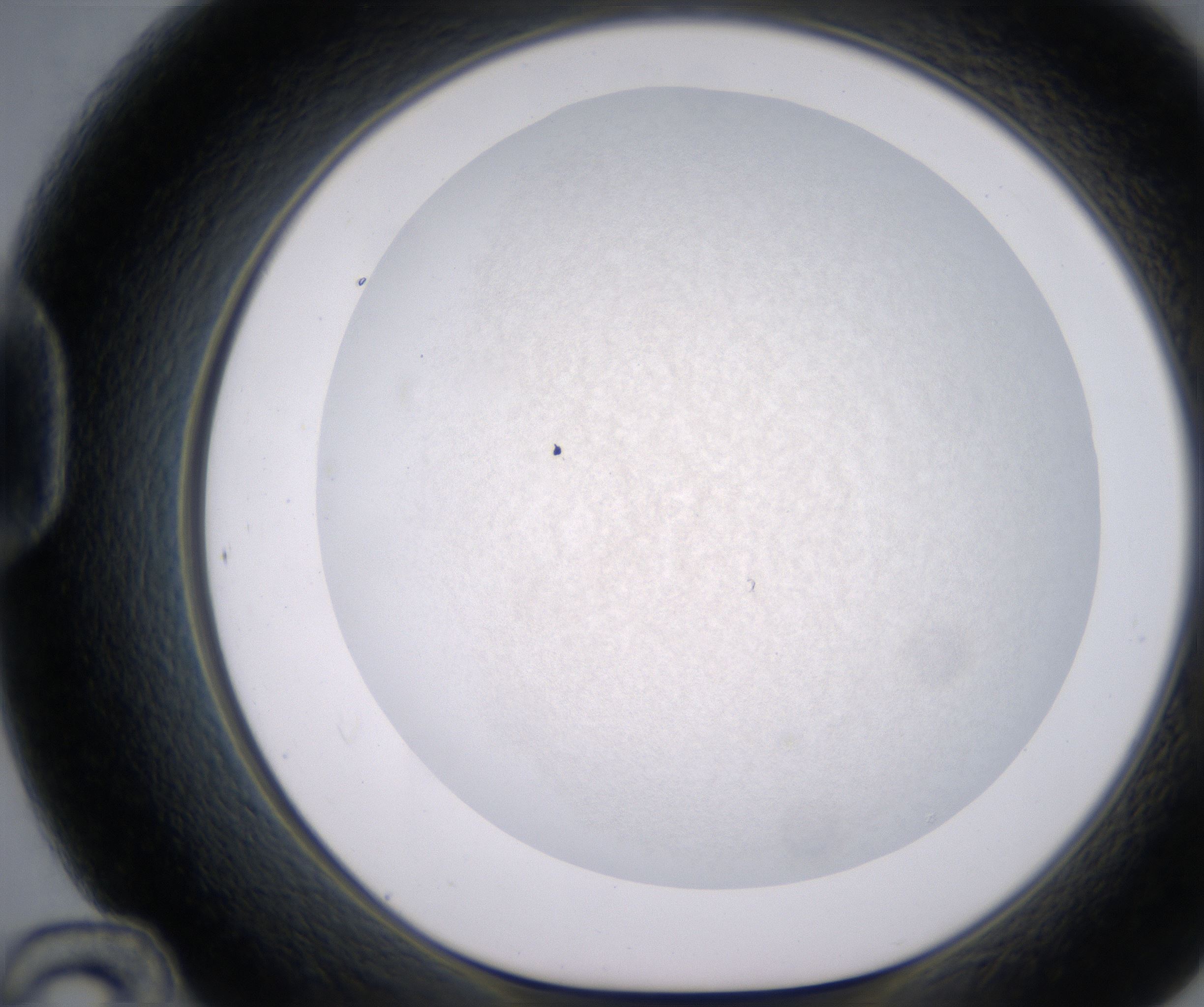 D12_HighResolution_Precipitate_1.jpg