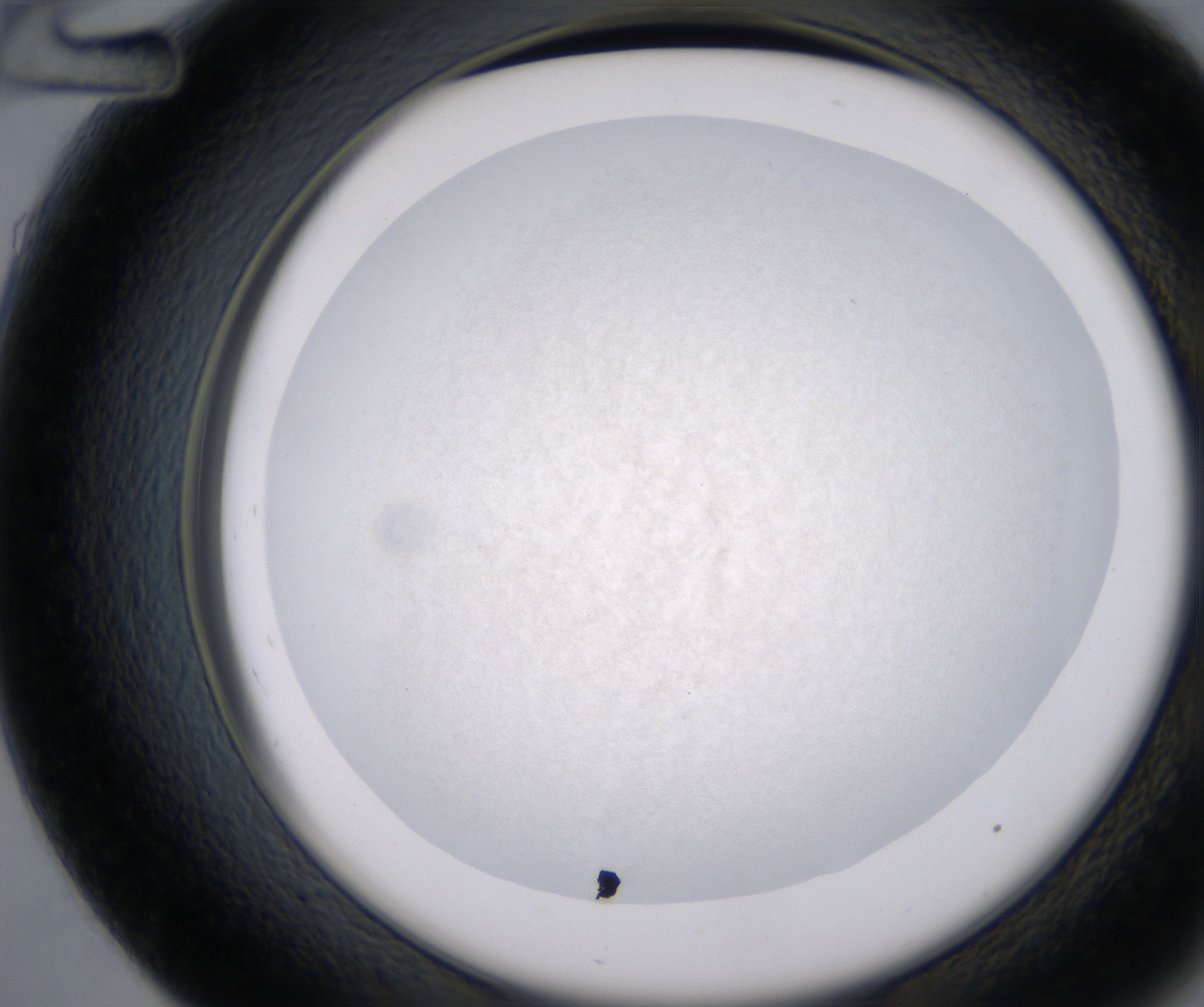 D12_HighResolution_Precipitate_2.jpg