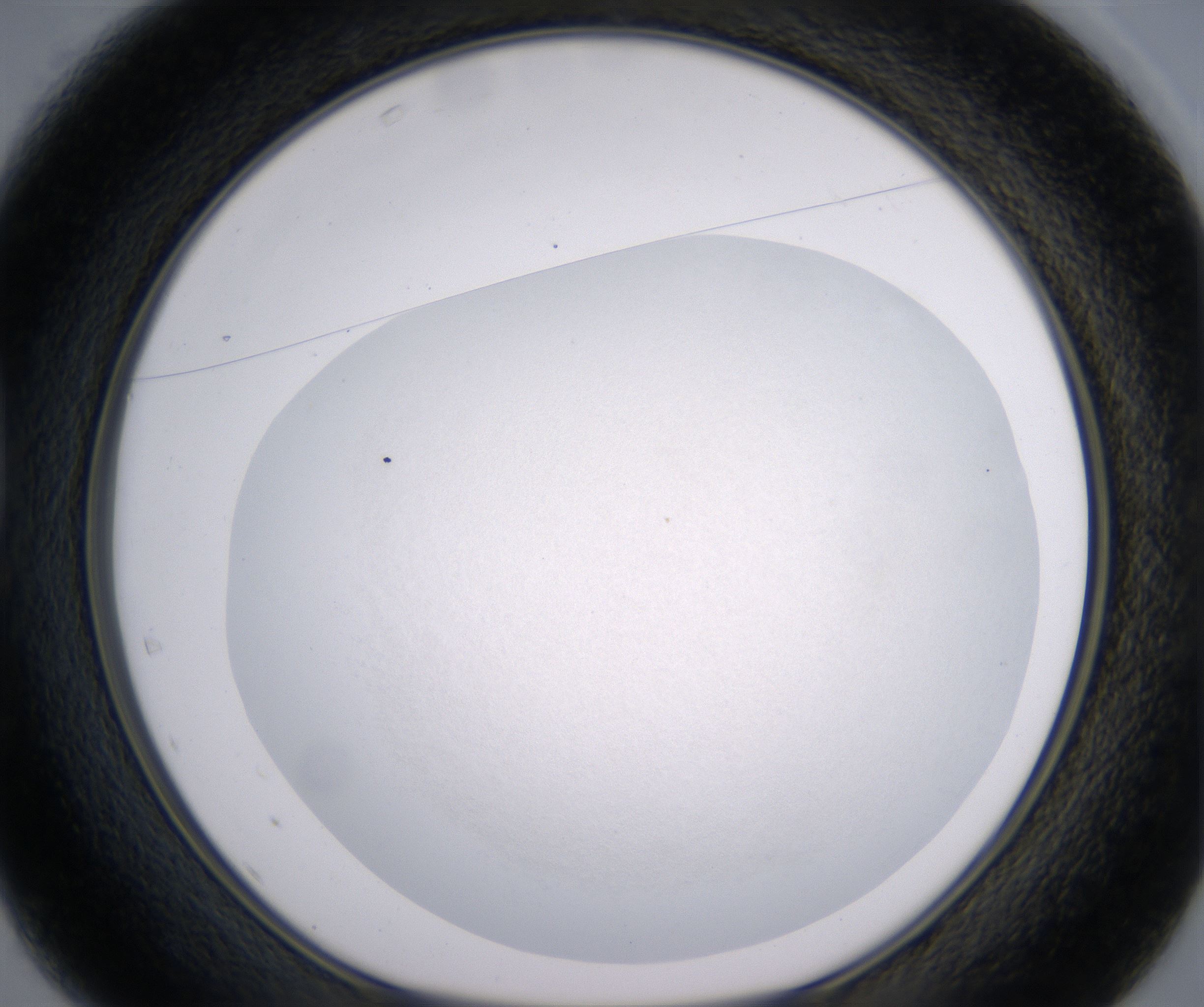 D1_HighResolution_Clear_1.jpg