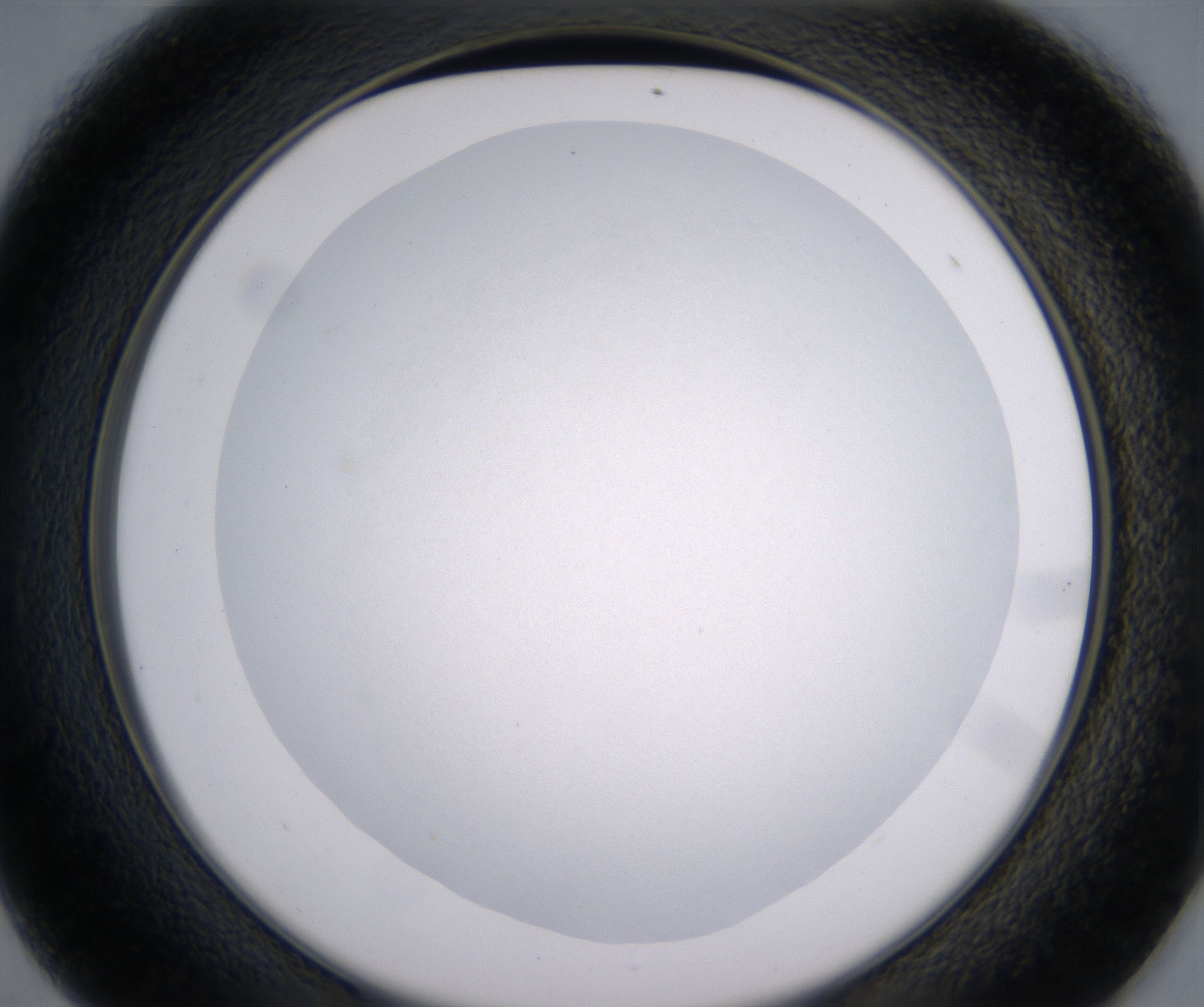 D1_HighResolution_Clear_2.jpg