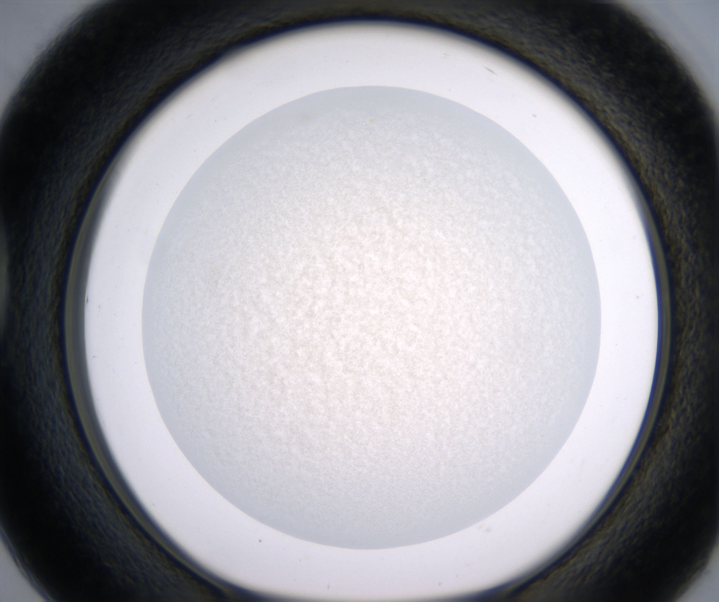 D2_HighResolution_Precipitate_1.jpg