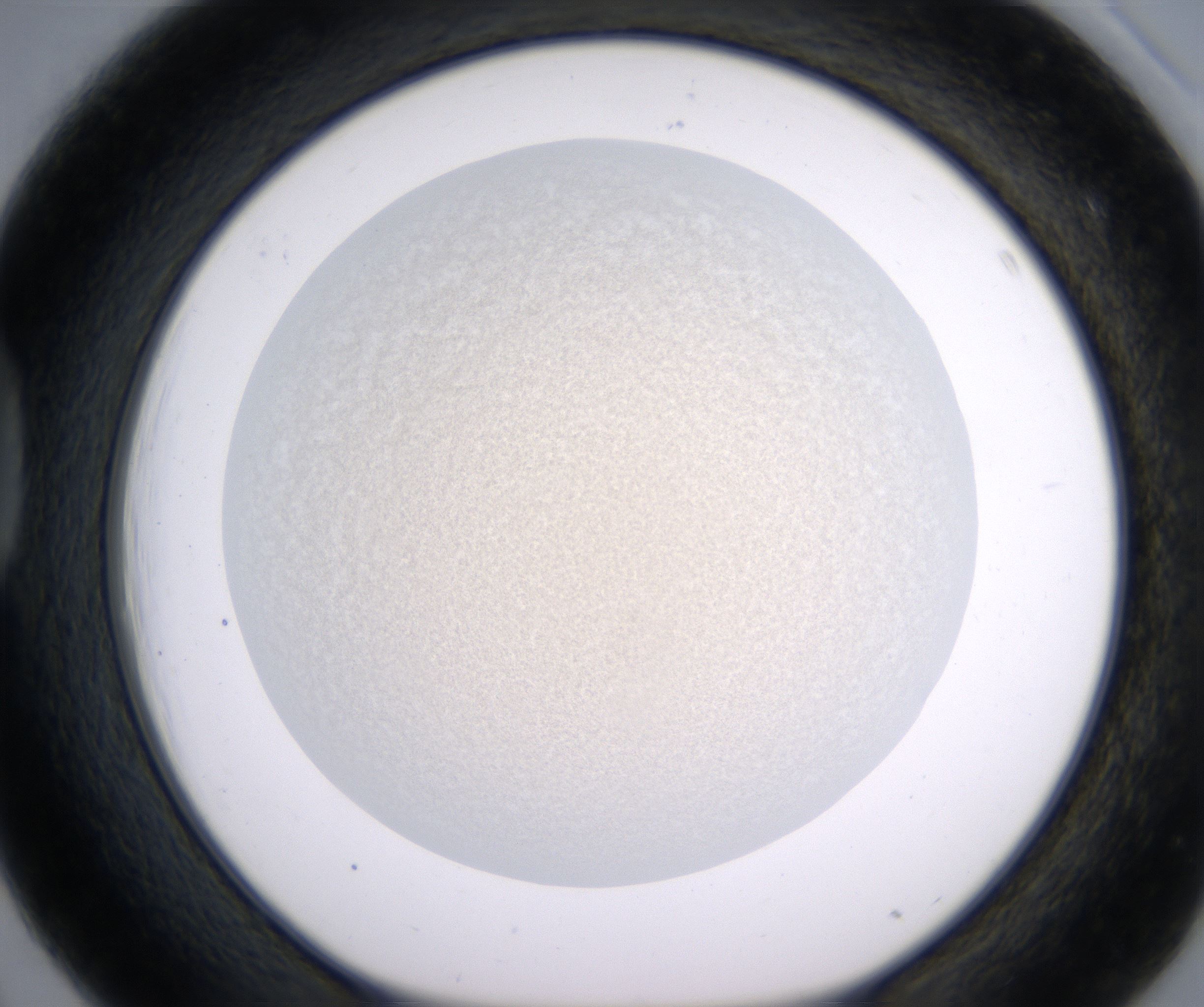 D3_HighResolution_Precipitate_1.jpg