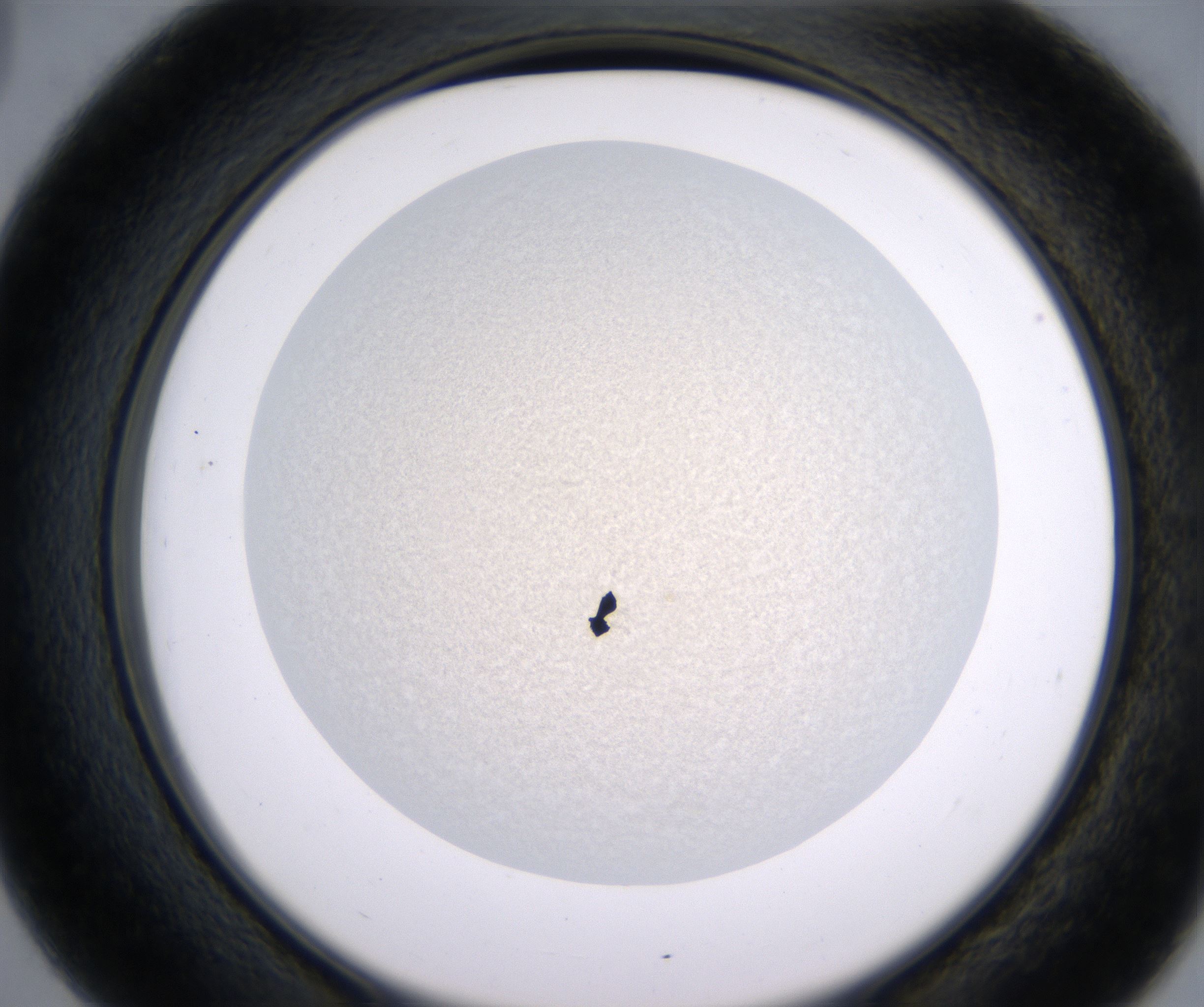 D3_HighResolution_Precipitate_2.jpg