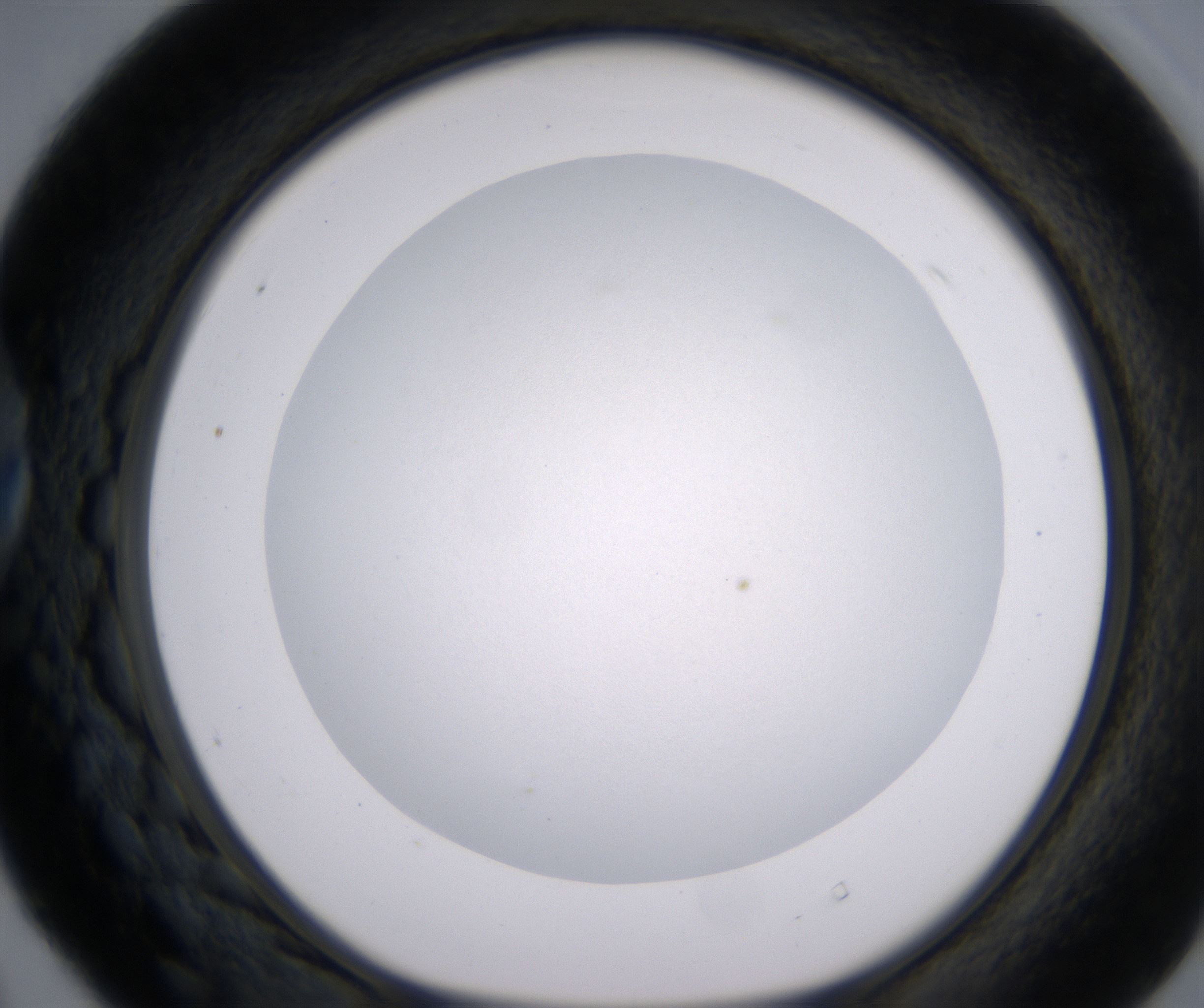 D4_HighResolution_Clear_1.jpg