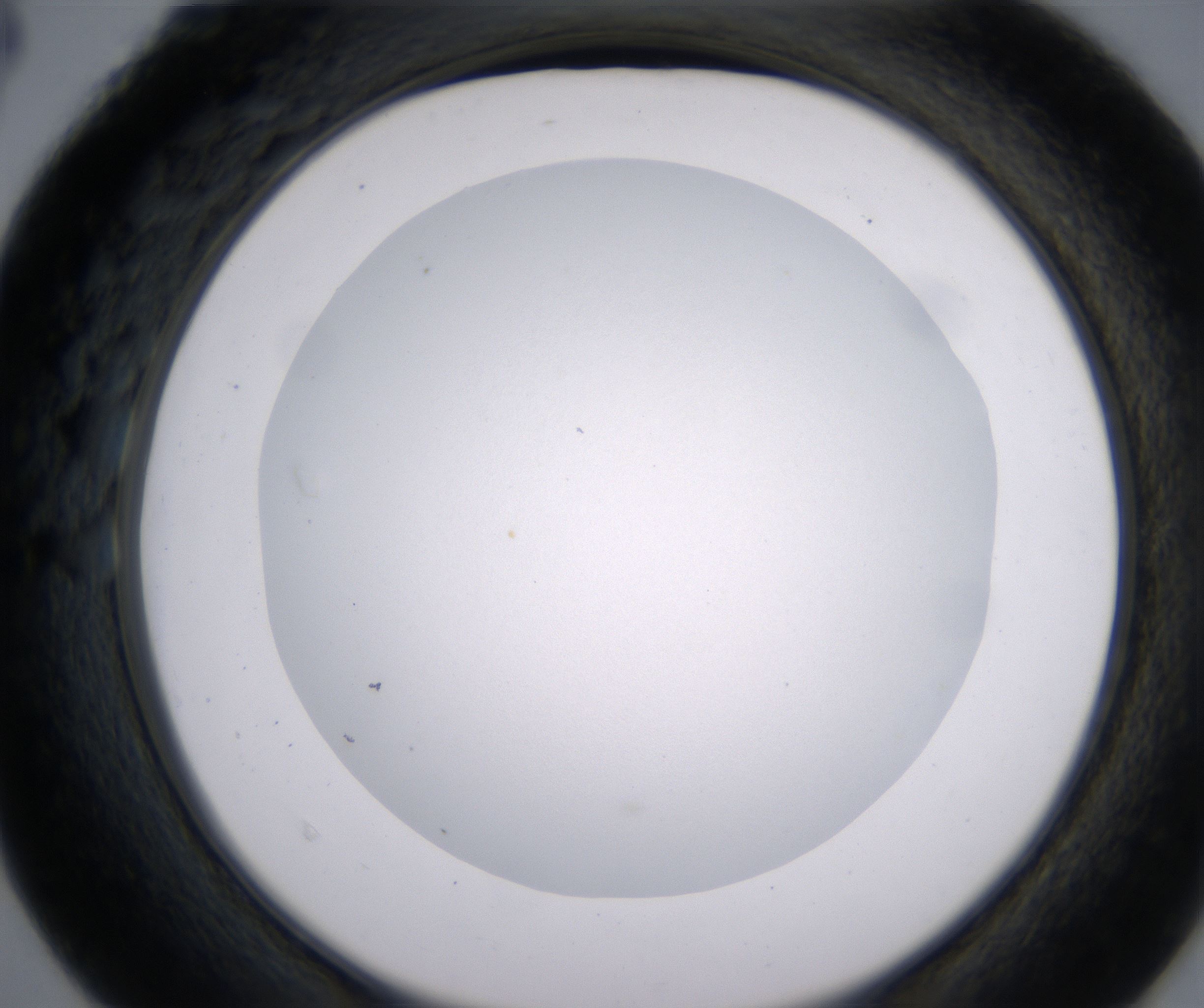 D4_HighResolution_Clear_2.jpg