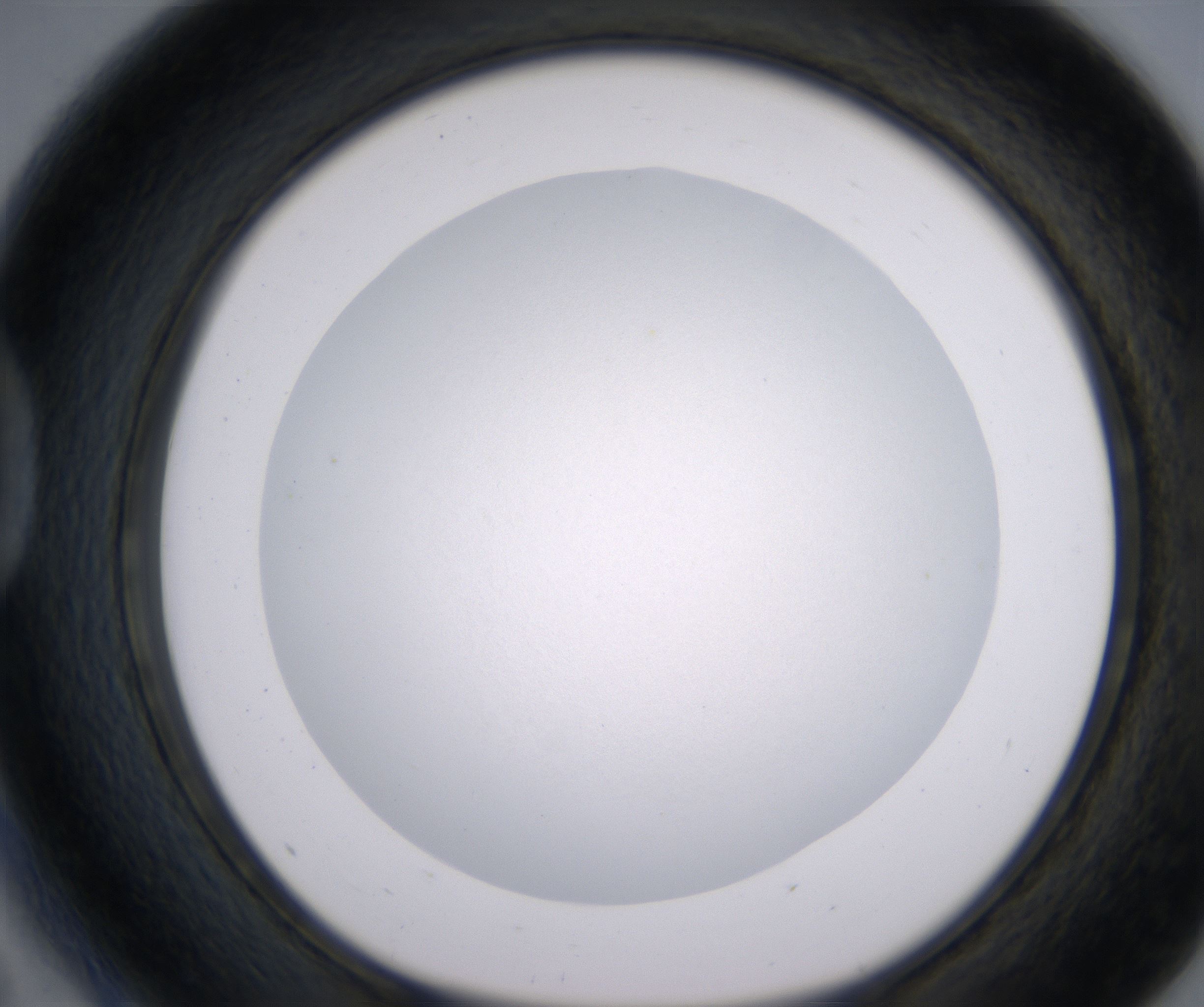 D5_HighResolution_Clear_1.jpg