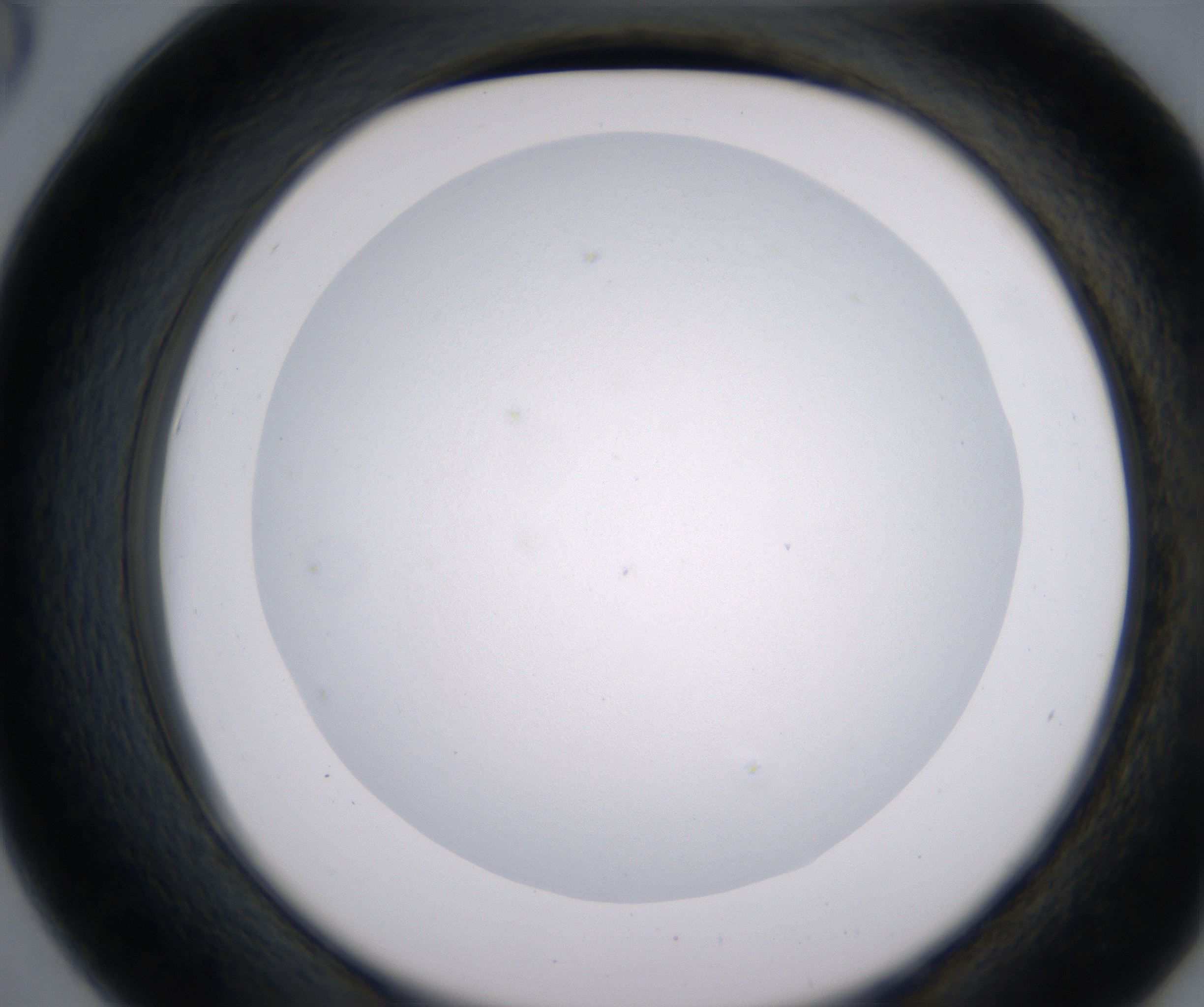 D6_HighResolution_Clear_2.jpg