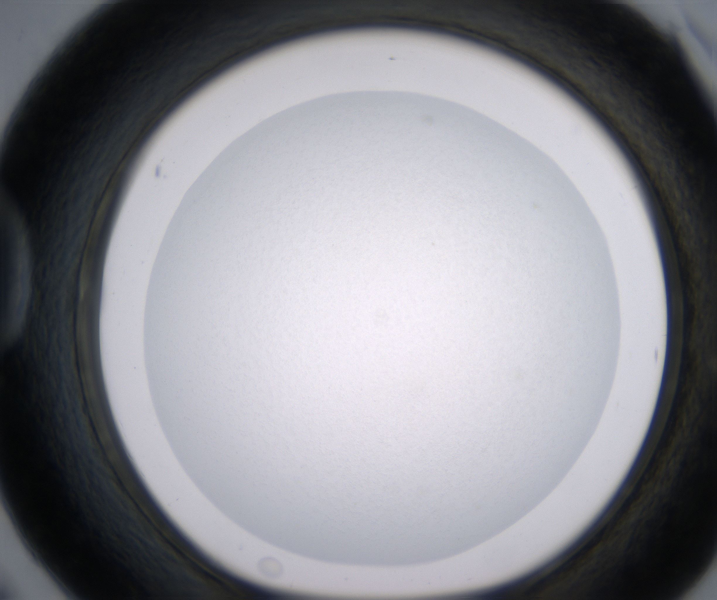 D6_HighResolution_Precipitate_1.jpg
