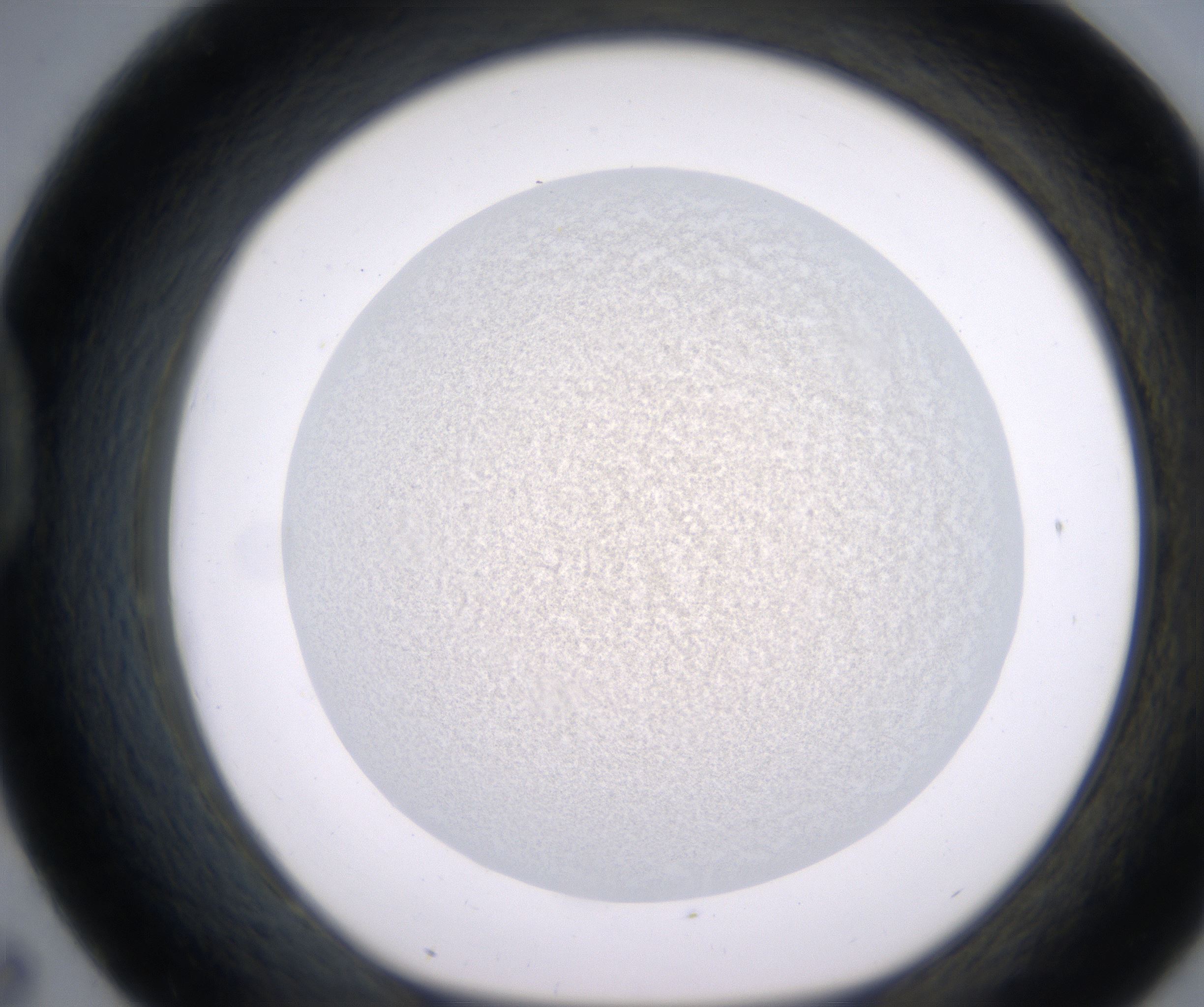 D7_HighResolution_Precipitate_1.jpg