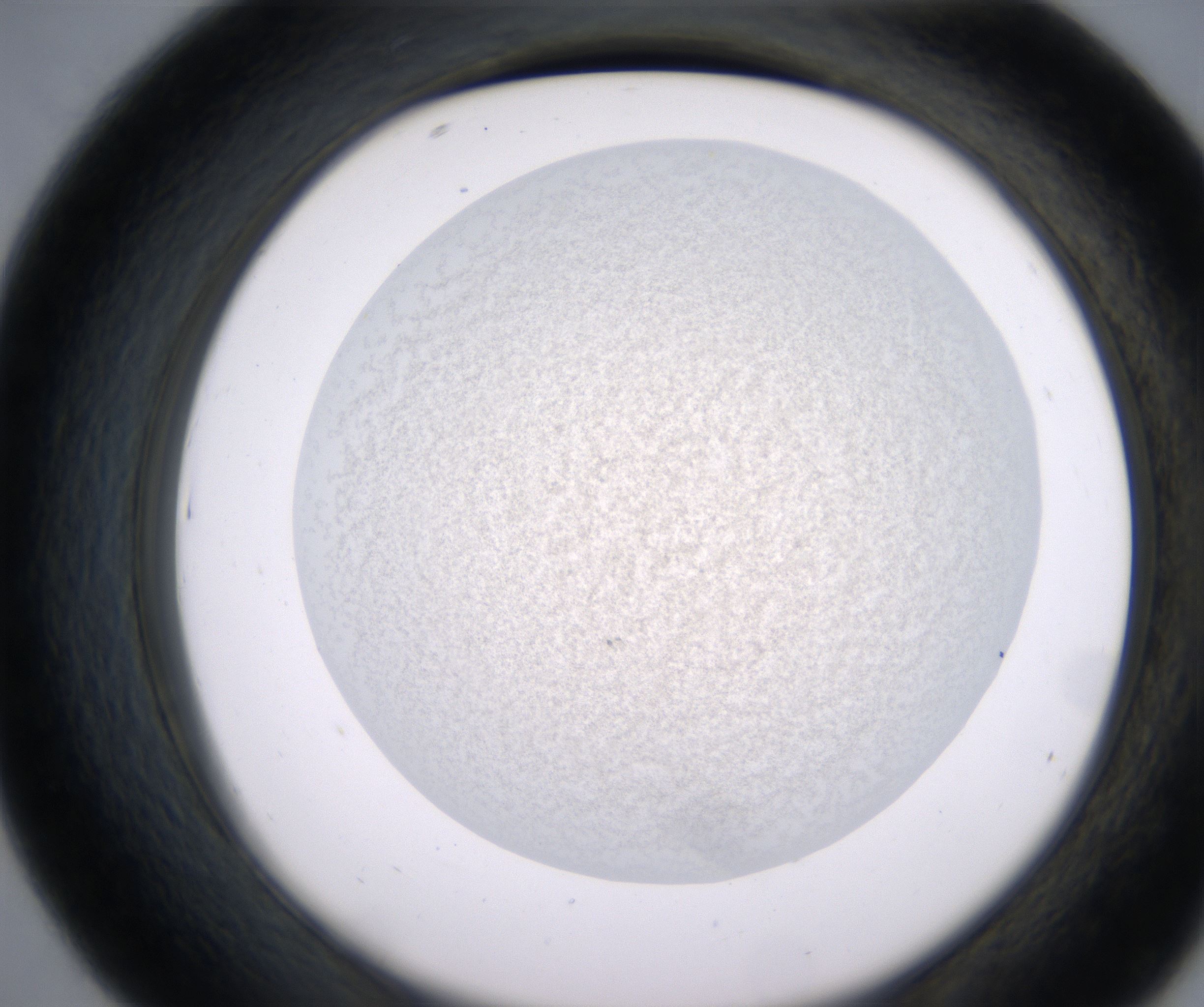 D7_HighResolution_Precipitate_2.jpg