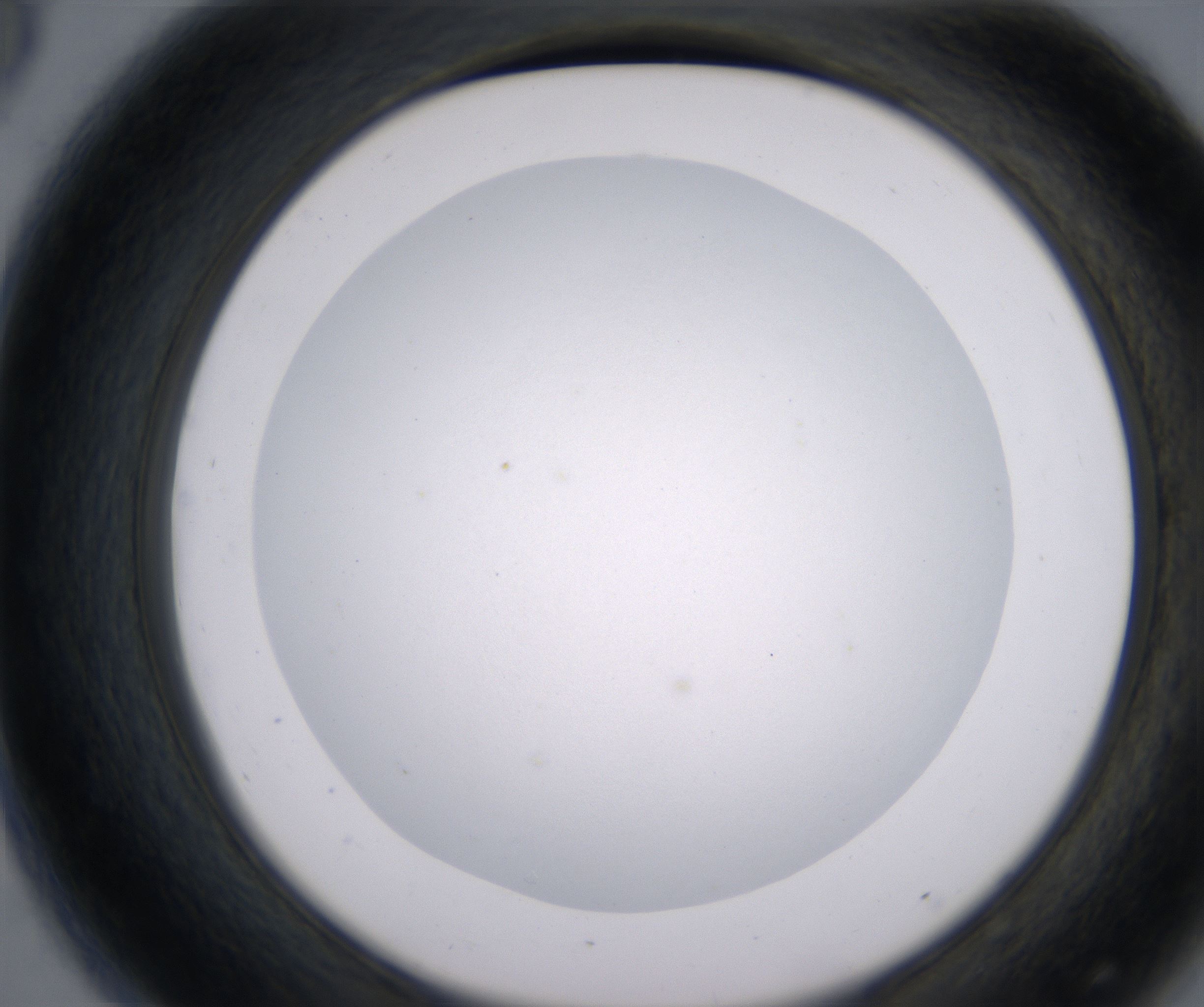 D8_HighResolution_Clear_2.jpg