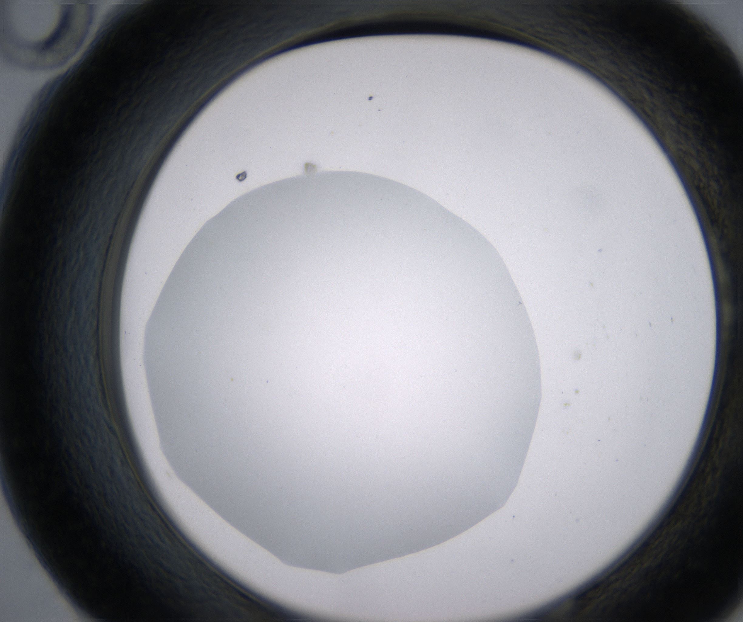 E10_HighResolution_Clear_2.jpg