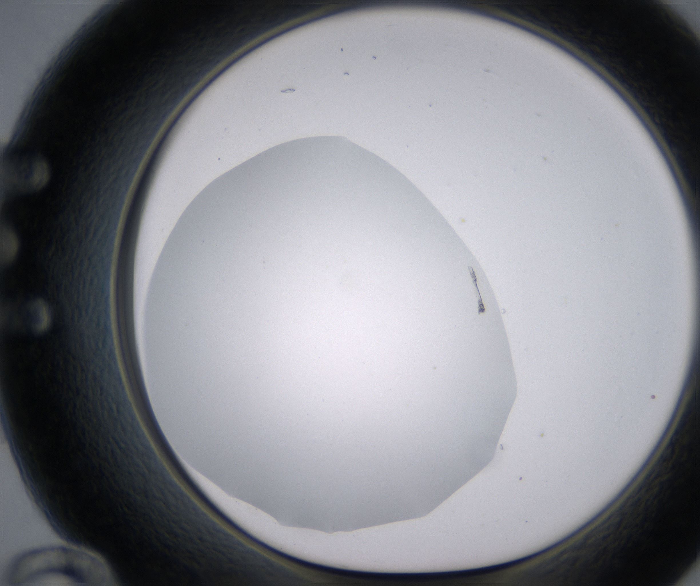 E12_HighResolution_Clear_1.jpg