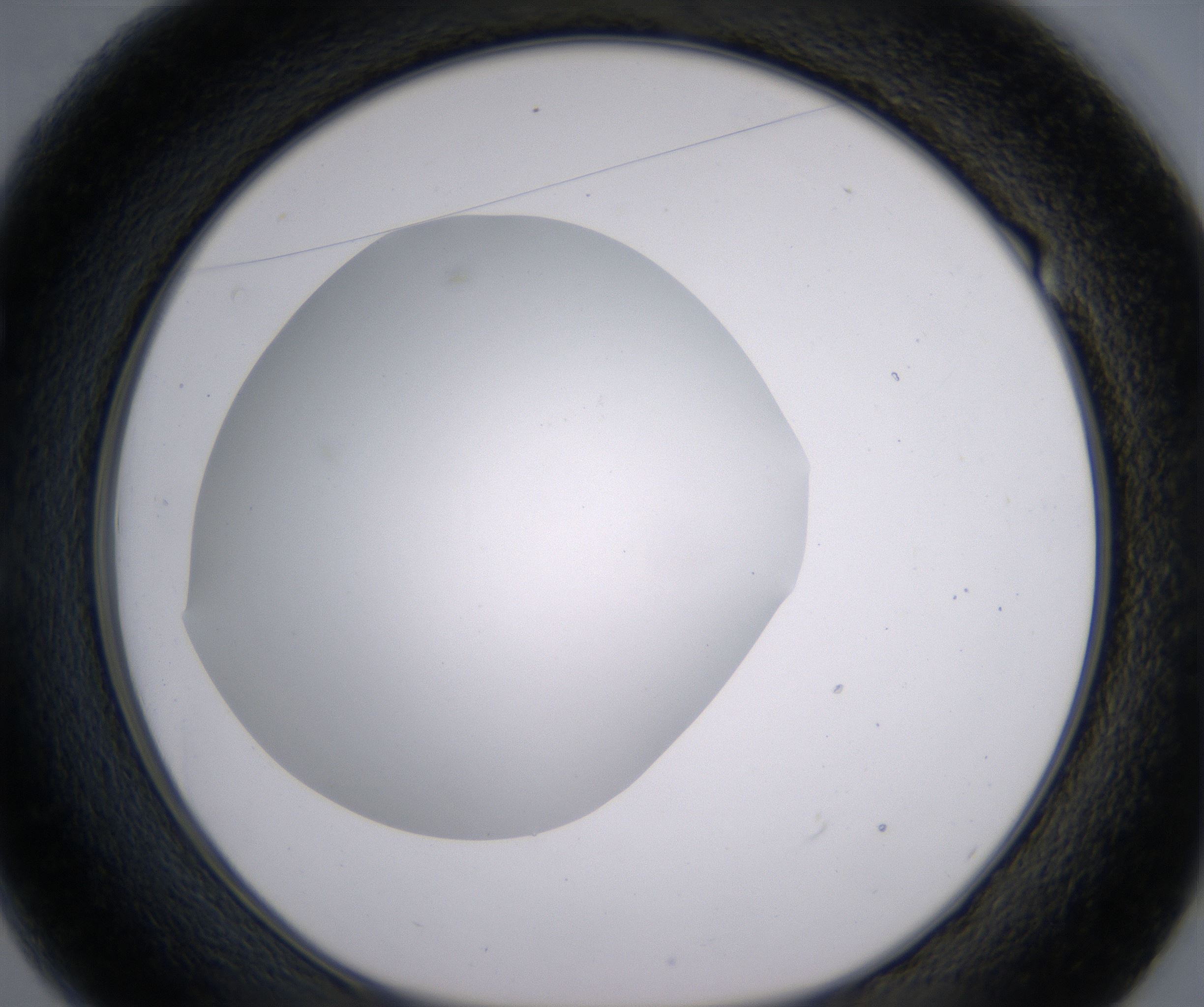 E1_HighResolution_Clear_1.jpg