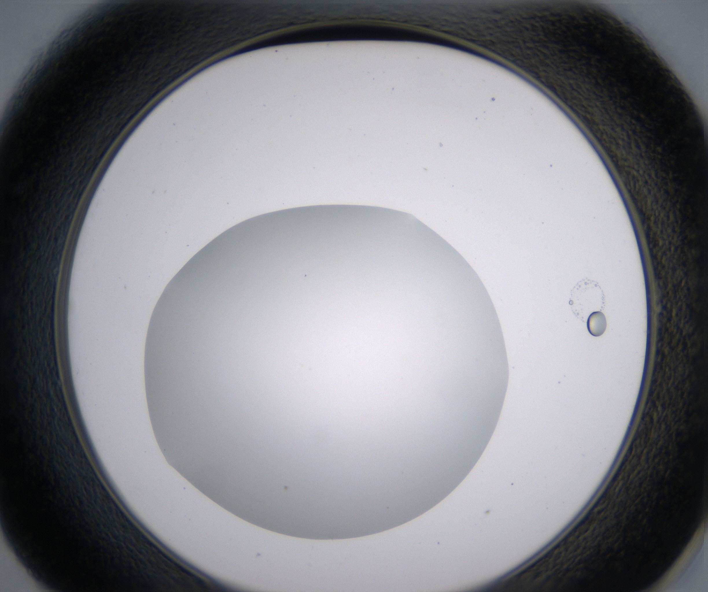E1_HighResolution_Clear_2.jpg