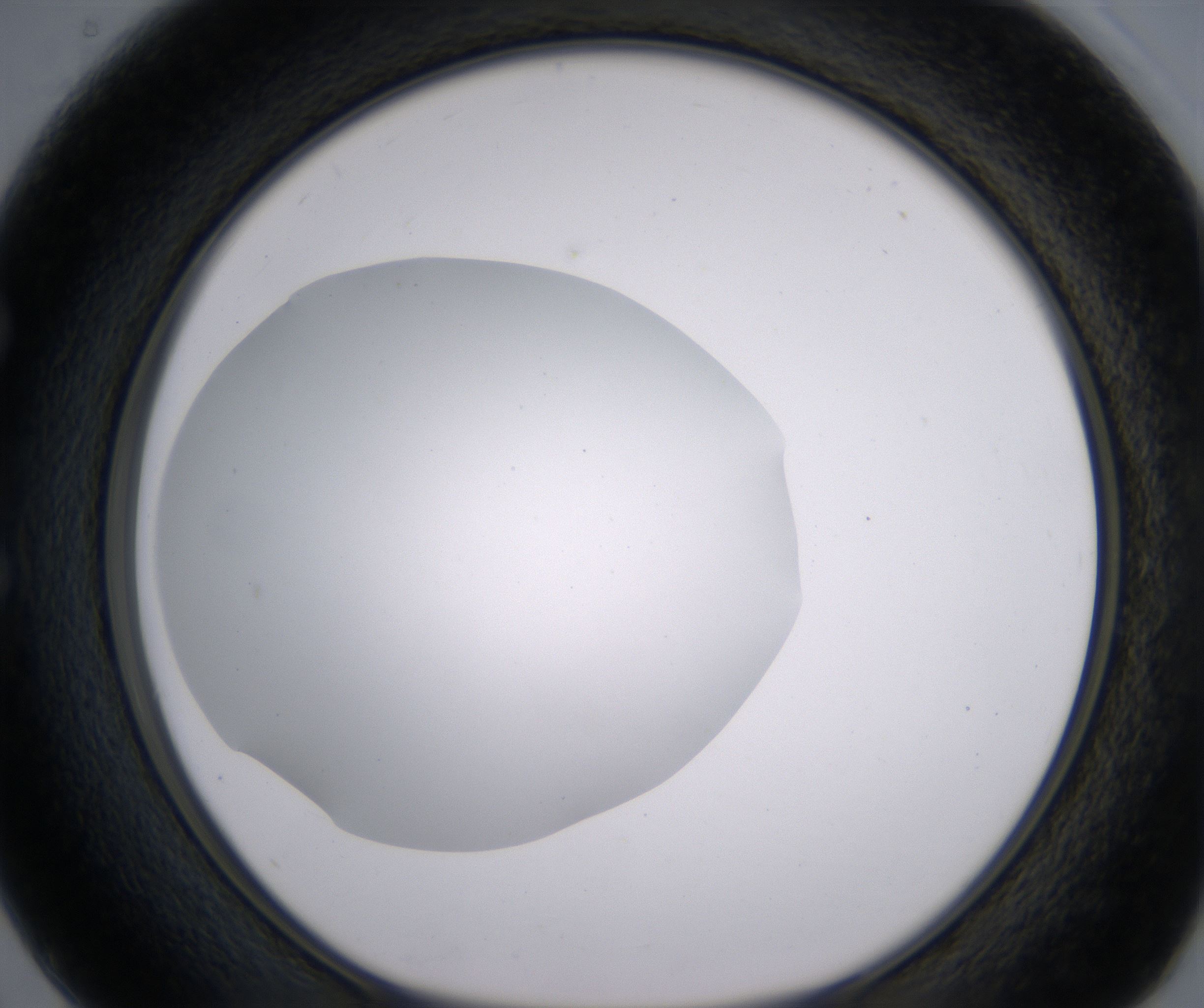 E2_HighResolution_Clear_1.jpg