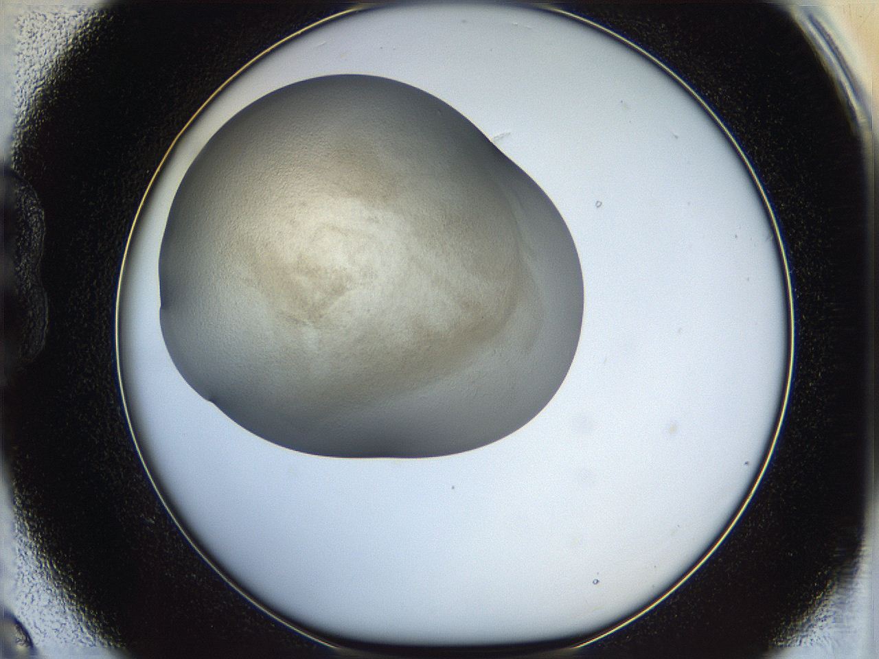 05k2_B9_ImagerDefaults_3.jpg