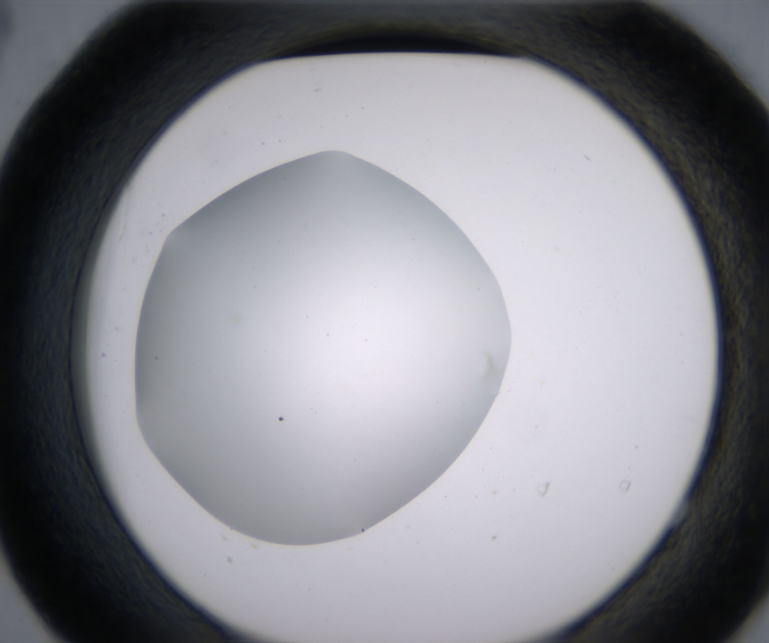 E4_HighResolution_Clear_2.jpg