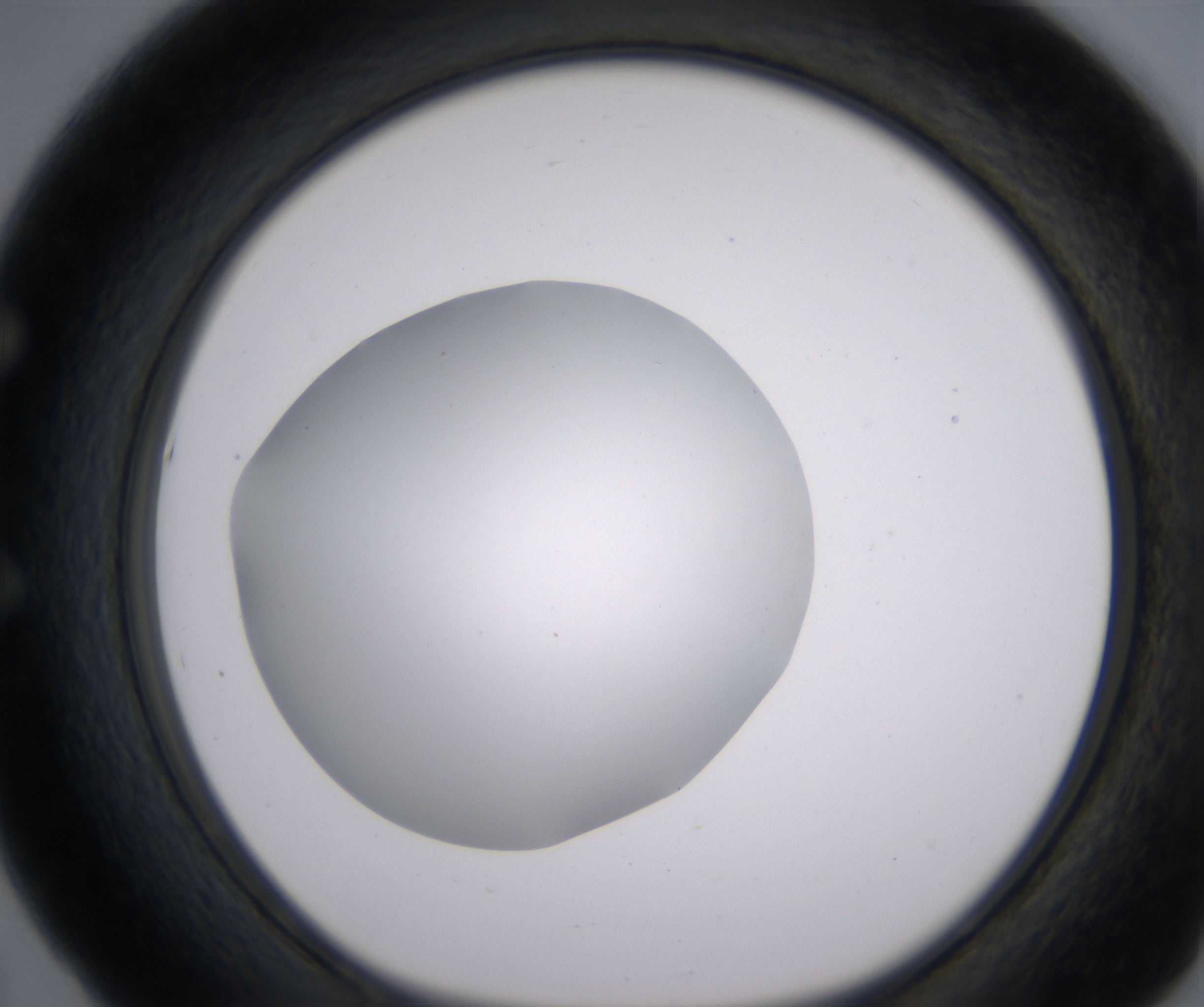 E5_HighResolution_Clear_1.jpg