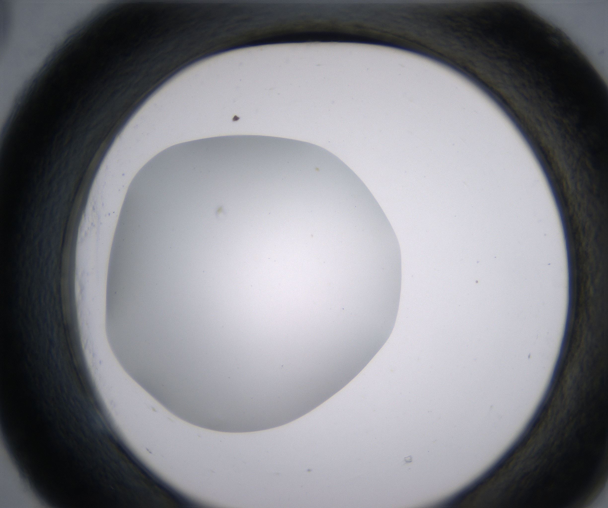 E5_HighResolution_Clear_2.jpg