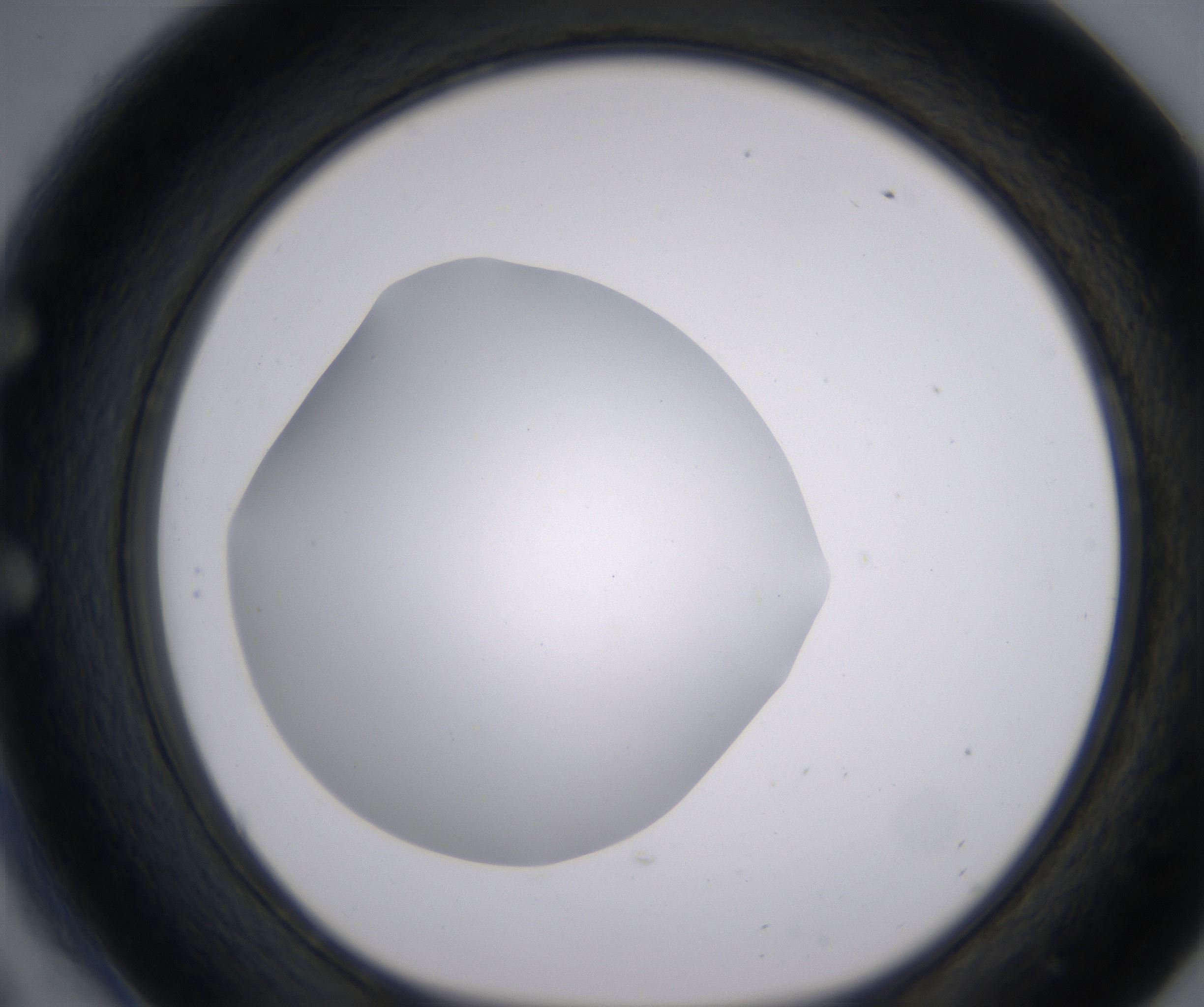 E6_HighResolution_Clear_1.jpg