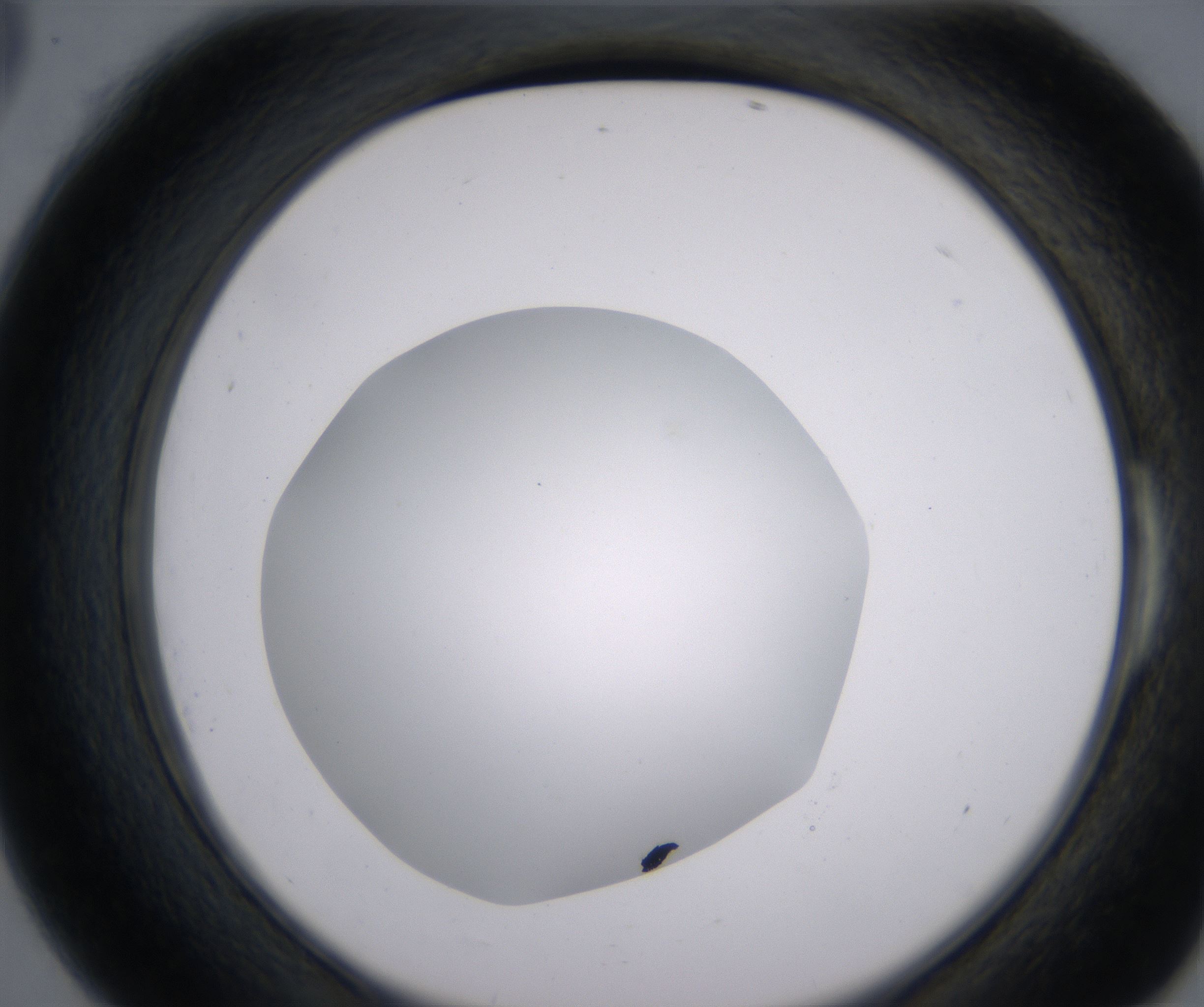 E6_HighResolution_Clear_2.jpg