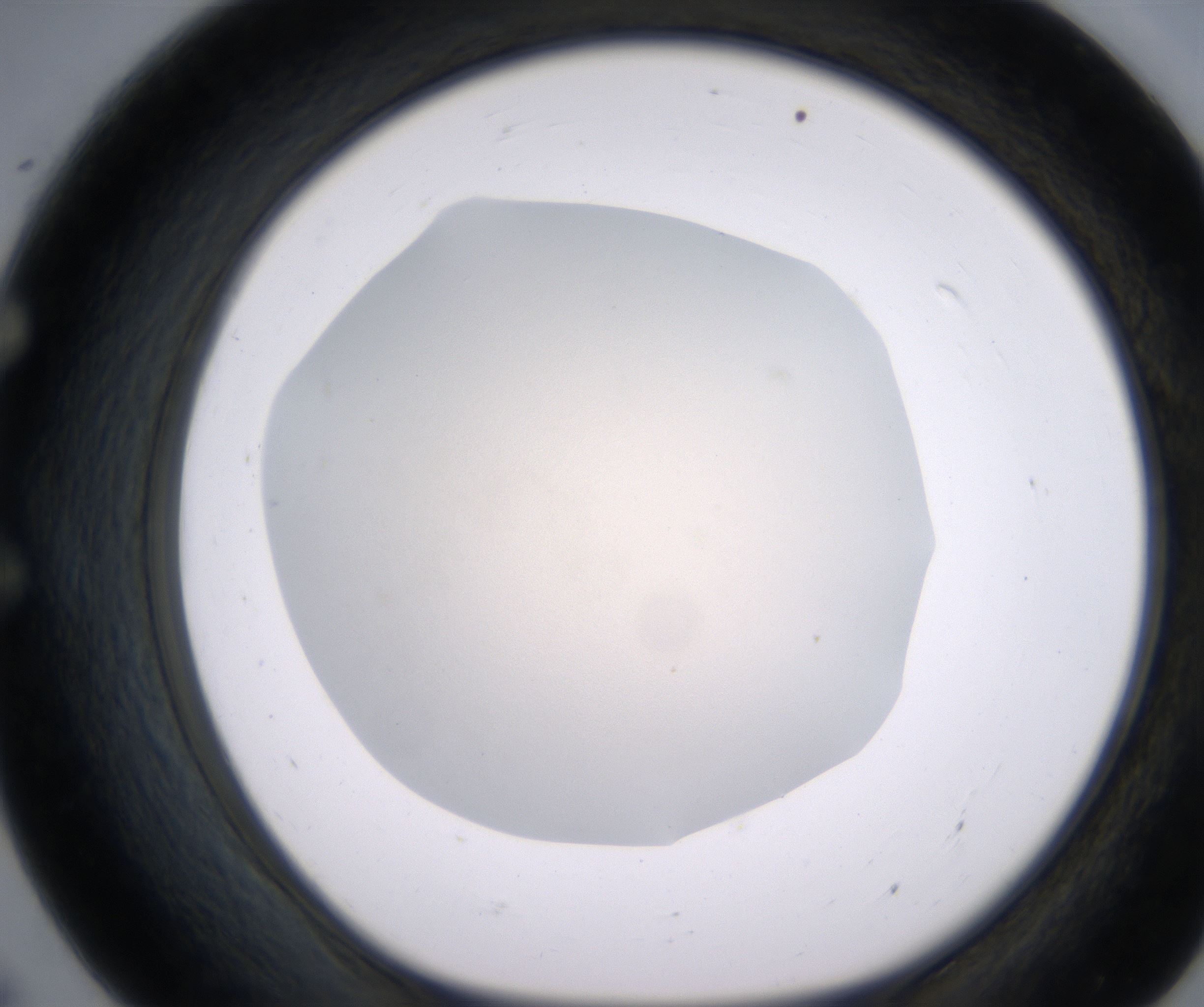 E7_HighResolution_Clear_1.jpg