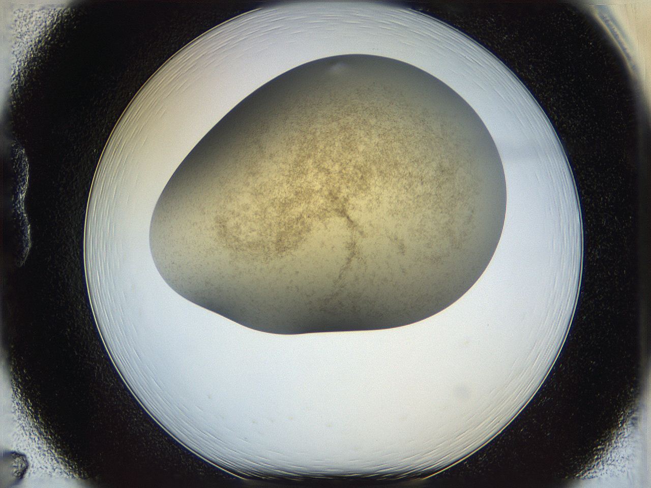05k2_B7_ImagerDefaults_3.jpg