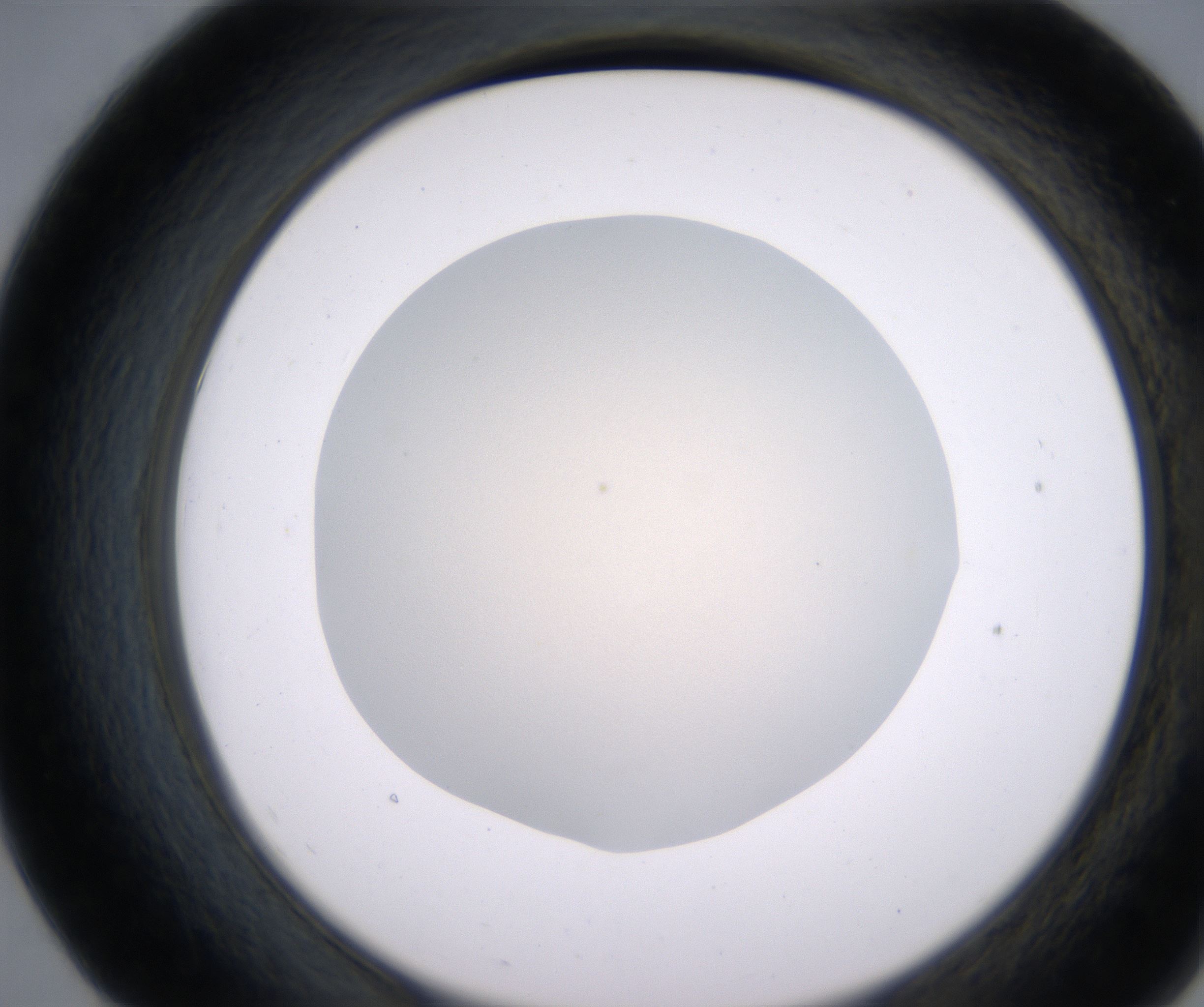 E7_HighResolution_Clear_2.jpg