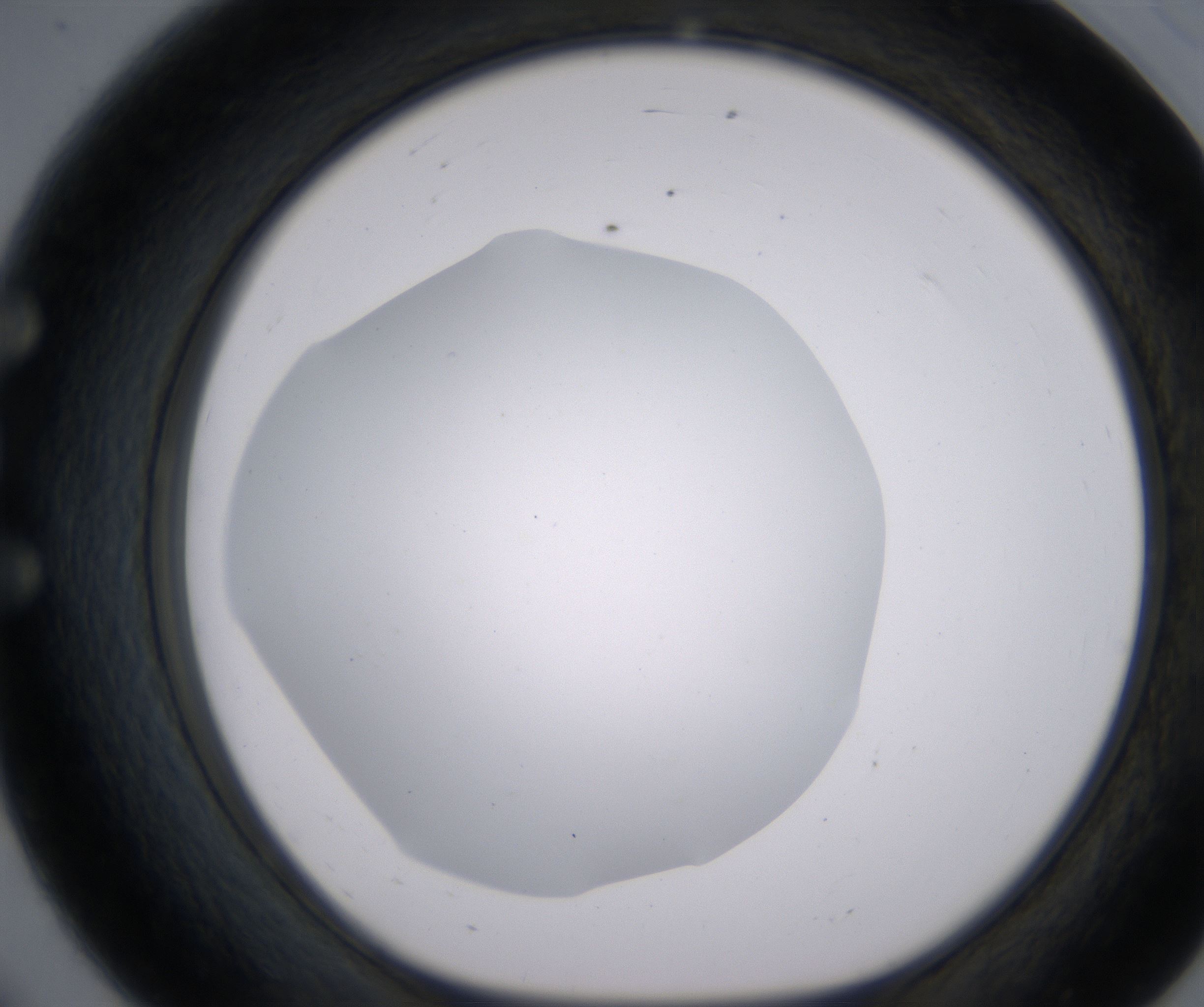 E8_HighResolution_Clear_1.jpg