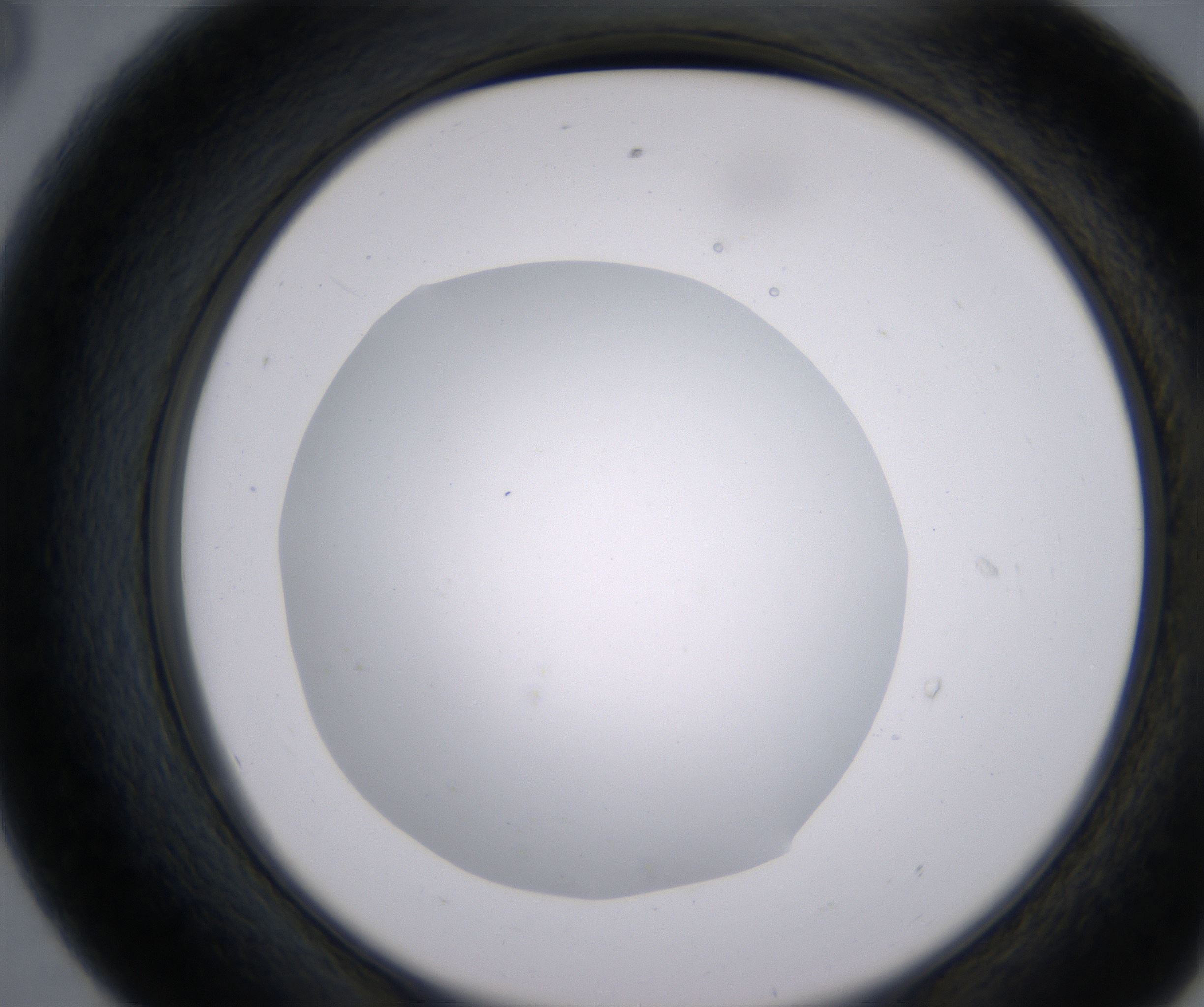 E8_HighResolution_Clear_2.jpg