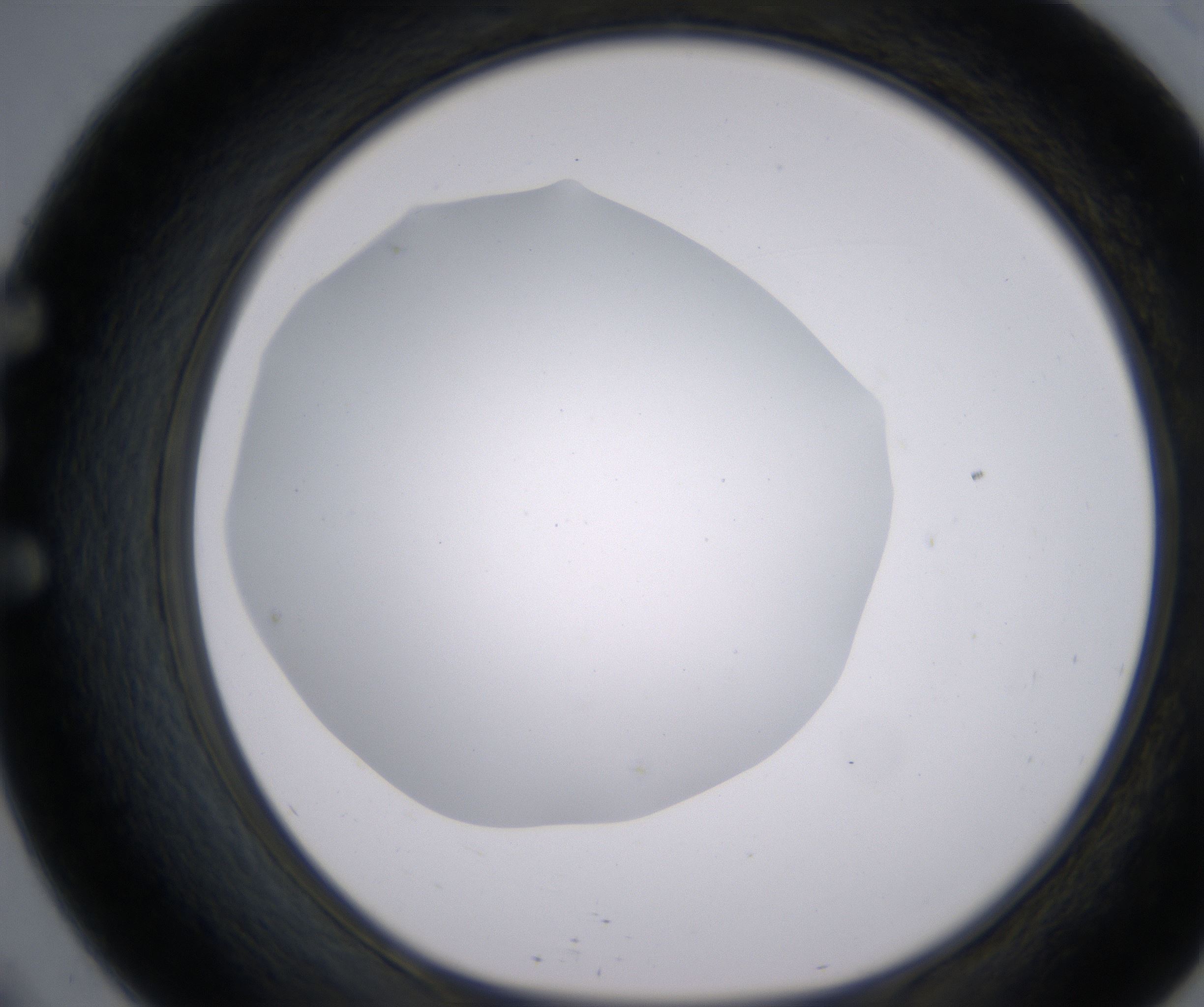 E9_HighResolution_Clear_1.jpg