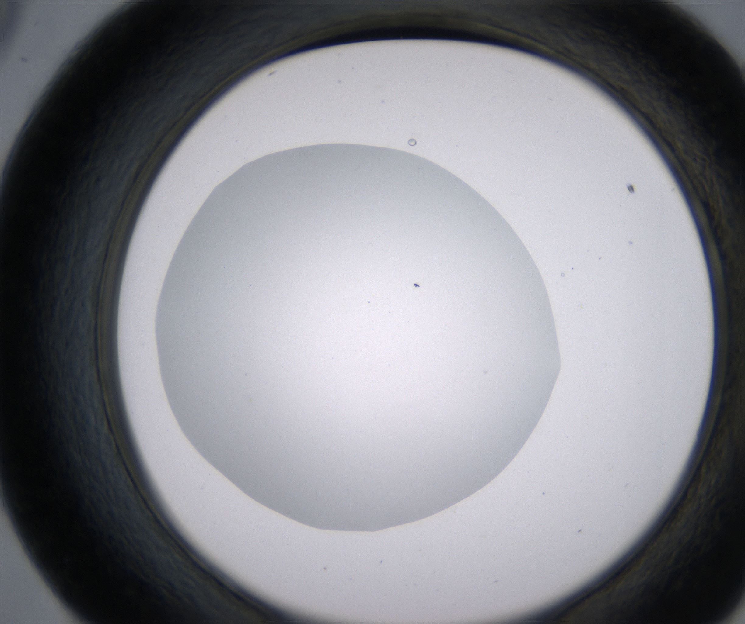 E9_HighResolution_Clear_2.jpg
