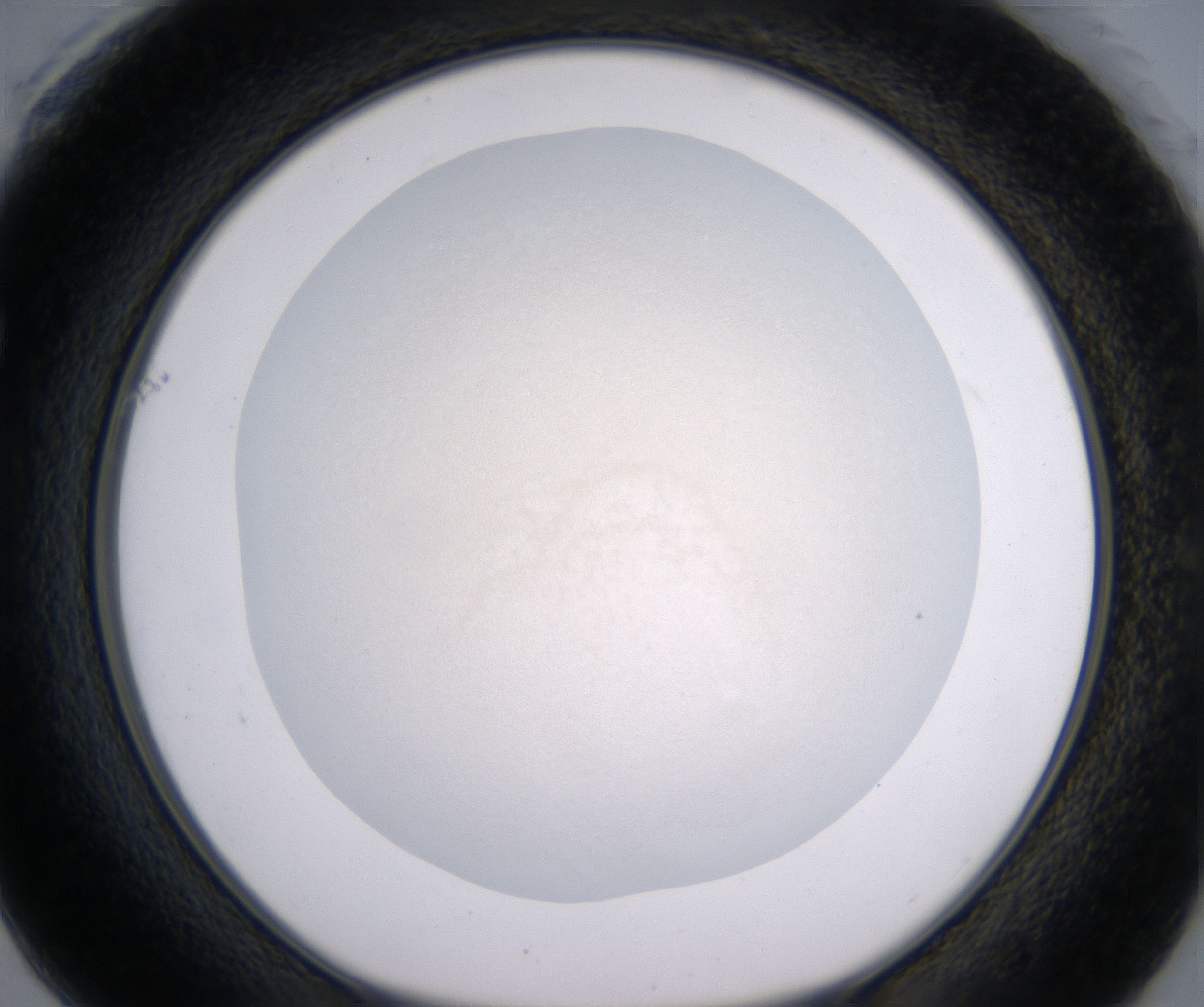 F1_HighResolution_Precipitate_1.jpg